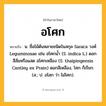 อโศก ความหมาย หมายถึงอะไร?, คำในภาษาไทย อโศก หมายถึง น. ชื่อไม้ต้นหลายชนิดในสกุล Saraca วงศ์ Leguminosae เช่น อโศกนํ้า (S. indica L.) ดอกสีส้มหรือแสด อโศกเหลือง (S. thaipingensis Cantley ex Prain) ดอกสีเหลือง, โศก ก็เรียก. (ส.; ป. อโสก ว่า ไม่โศก).