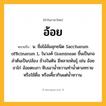 อ้อย ความหมาย หมายถึงอะไร?, คำในภาษาไทย อ้อย หมายถึง น. ชื่อไม้ล้มลุกชนิด Saccharum officinarum L. ในวงศ์ Gramineae ขึ้นเป็นกอ ลําต้นเป็นปล้อง ข้างในตัน มีหลายพันธุ์ เช่น อ้อยขาไก่ อ้อยตะเภา หีบเอานํ้าหวานทํานํ้าตาลทรายหรือใช้ดื่ม หรือเคี้ยวกินแต่นํ้าหวาน.