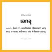 เอกอุ ความหมาย หมายถึงอะไร?, คำในภาษาไทย เอกอุ หมายถึง [เอก-] ว. เอกเป็นเลิศ. (ตัดมาจาก เอกอุดม); มากมาย, หนักหนา, เช่น ทำผิดอย่างเอกอุ.