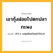 เอากุ้งฝอยไปตกปลากะพง ความหมาย หมายถึงอะไร?, คำในภาษาไทย เอากุ้งฝอยไปตกปลากะพง หมายถึง (สํา) ก. ลงทุนน้อยหวังผลกําไรมาก.