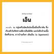 เอ็น ความหมาย หมายถึงอะไร?, คำในภาษาไทย เอ็น หมายถึง น. กลุ่มหรือมัดเส้นใยเนื้อเยื่อเกี่ยวพัน ซึ่งเรียงตัวในทิศทางเดียวเห็นได้ชัด และไม่มีกล้ามเนื้อยึดที่ปลาย, ชาวบ้านเรียก เส้นเอ็น. (อ. ligament).