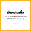 เอ็นกล้ามเนื้อ ความหมาย หมายถึงอะไร?, คำในภาษาไทย เอ็นกล้ามเนื้อ หมายถึง น. เอ็นชนิดที่ปลายใดปลายหนึ่งยึดกับกล้ามเนื้อ. (อ. tendon, sinew).