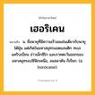 เฮอริเคน ความหมาย หมายถึงอะไร?, คำในภาษาไทย เฮอริเคน หมายถึง น. ชื่อพายุที่มีความเร็วลมเช่นเดียวกับพายุไต้ฝุ่น แต่เกิดในมหาสมุทรแอตแลนติก ทะเลแคริบเบียน อ่าวเม็กซิโก และภาคตะวันออกของมหาสมุทรแปซิฟิกเหนือ, ลมสลาตัน ก็เรียก. (อ. hurricane).