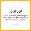แอนติบอดี ความหมาย หมายถึงอะไร?, คำในภาษาไทย แอนติบอดี หมายถึง น. สารที่ร่างกายมนุษย์หรือสัตว์ชั้นสูงอื่น ๆ สร้างขึ้น เมื่อได้รับการกระตุ้นโดยสารที่แปลกปลอมซึ่งเรียกว่า แอนติเจน. (อ. antibody).