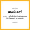แอมมิเตอร์ ความหมาย หมายถึงอะไร?, คำในภาษาไทย แอมมิเตอร์ หมายถึง น. เครื่องมือที่ใช้สําหรับวัดค่าของกระแสไฟฟ้าเป็นแอมแปร์. (อ. ammeter).