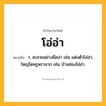 โอ่อ่า ความหมาย หมายถึงอะไร?, คำในภาษาไทย โอ่อ่า หมายถึง ว. สะสวยอย่างมีสง่า เช่น แต่งตัวโอ่อ่า, ใหญ่โตหรูหรามาก เช่น บ้านช่องโอ่อ่า.