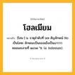 โฮลเมียม ความหมาย หมายถึงอะไร?, คำในภาษาไทย โฮลเมียม หมายถึง [โฮน-] น. ธาตุลําดับที่ ๖๗ สัญลักษณ์ Ho เป็นโลหะ ลักษณะเป็นของแข็งเป็นเงาวาว หลอมละลายที่ ๑๔๖๑ °ซ. (อ. holmium).