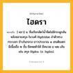 ไฮดรา ความหมาย หมายถึงอะไร?, คำในภาษาไทย ไฮดรา หมายถึง [-ดฺรา] น. ชื่อเรียกสัตว์นํ้าจืดไม่มีกระดูกสันหลังหลายสกุล ในวงศ์ Hydridae ลําตัวทรงกระบอก ข้างในกลวง ยาวประมาณ ๑ เซนติเมตร มีเนื้อเยื่อ ๒ ชั้น ยืดหดตัวได้ มีหนวด ๔-๑๒ เส้น เช่น สกุล Hydra. (อ. hydra).
