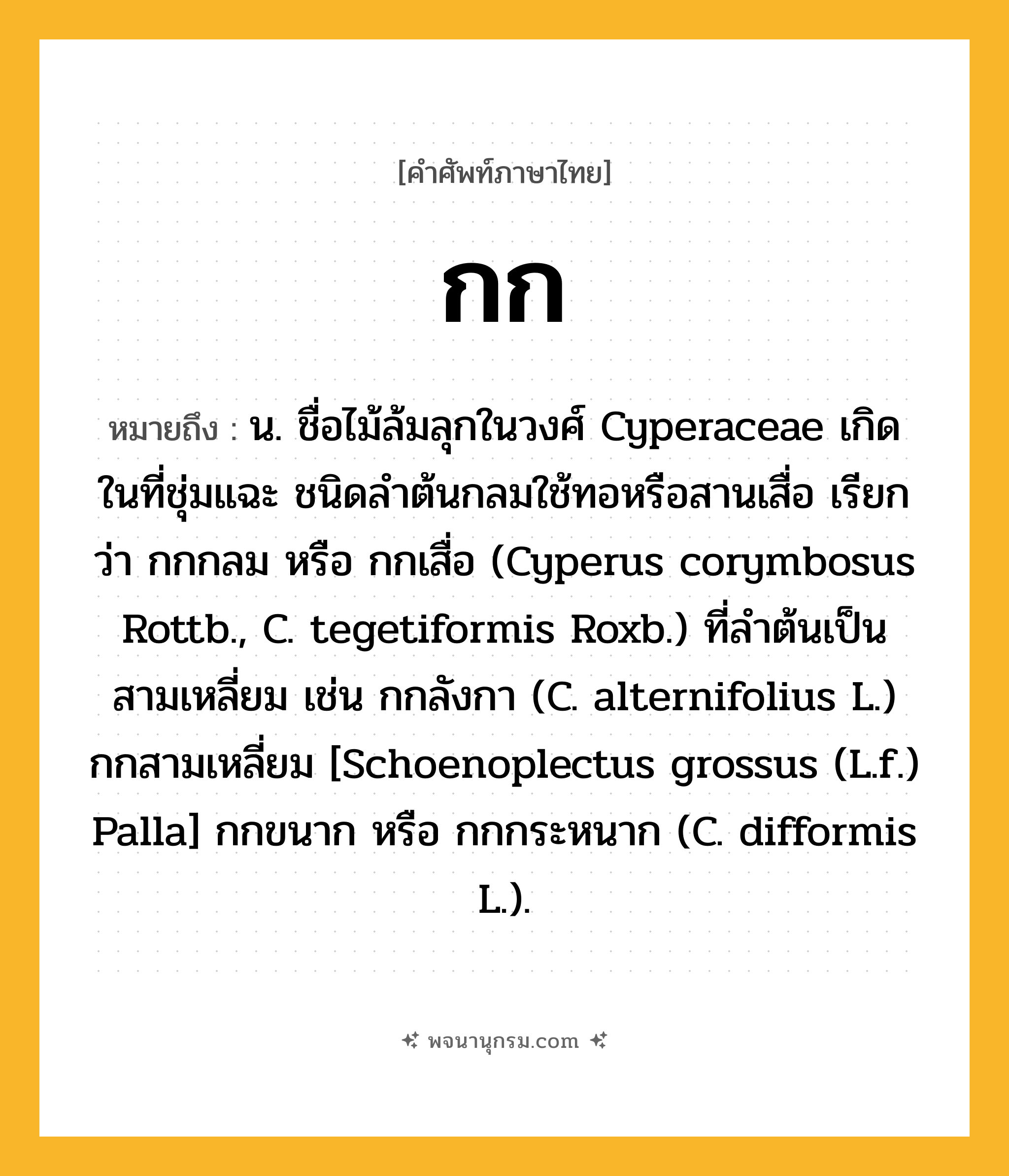 กก ความหมาย หมายถึงอะไร?, คำในภาษาไทย กก หมายถึง น. ชื่อไม้ล้มลุกในวงศ์ Cyperaceae เกิดในที่ชุ่มแฉะ ชนิดลําต้นกลมใช้ทอหรือสานเสื่อ เรียกว่า กกกลม หรือ กกเสื่อ (Cyperus corymbosus Rottb., C. tegetiformis Roxb.) ที่ลําต้นเป็นสามเหลี่ยม เช่น กกลังกา (C. alternifolius L.) กกสามเหลี่ยม [Schoenoplectus grossus (L.f.) Palla] กกขนาก หรือ กกกระหนาก (C. difformis L.).