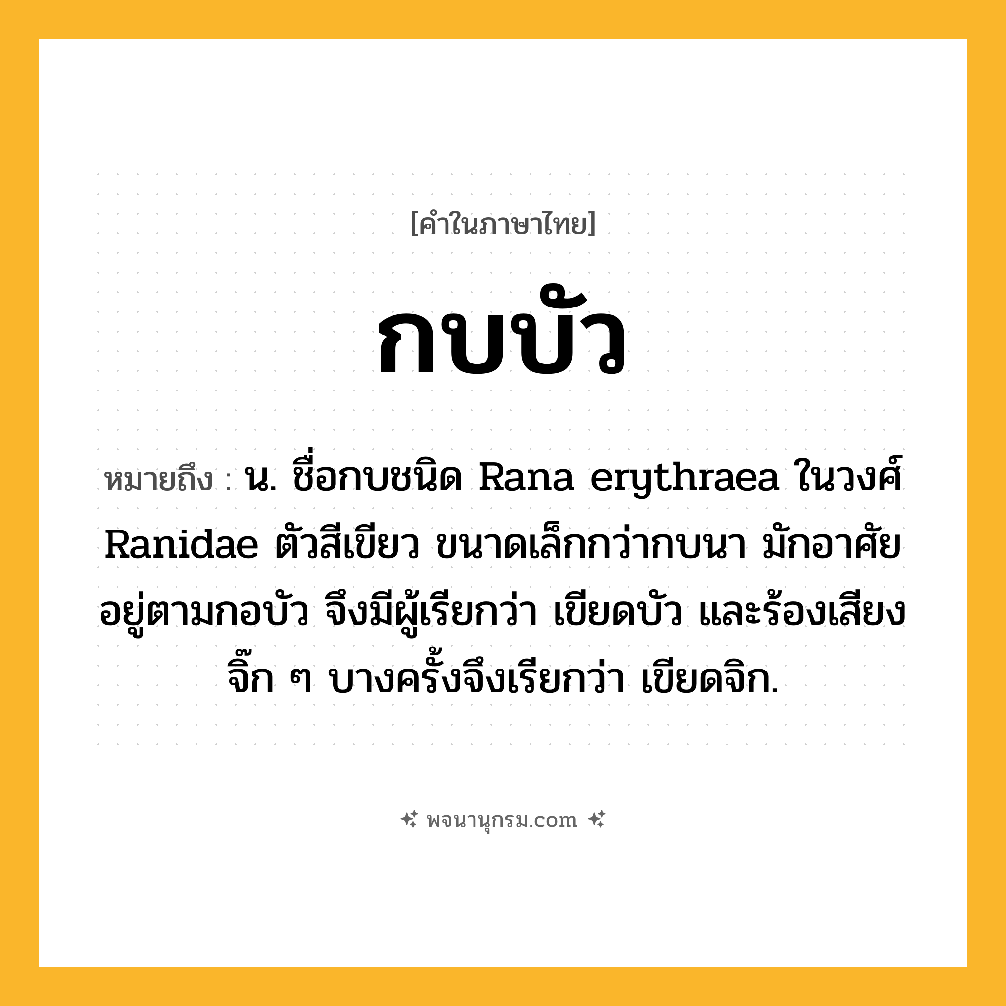 กบบัว ความหมาย หมายถึงอะไร?, คำในภาษาไทย กบบัว หมายถึง น. ชื่อกบชนิด Rana erythraea ในวงศ์ Ranidae ตัวสีเขียว ขนาดเล็กกว่ากบนา มักอาศัยอยู่ตามกอบัว จึงมีผู้เรียกว่า เขียดบัว และร้องเสียงจิ๊ก ๆ บางครั้งจึงเรียกว่า เขียดจิก.