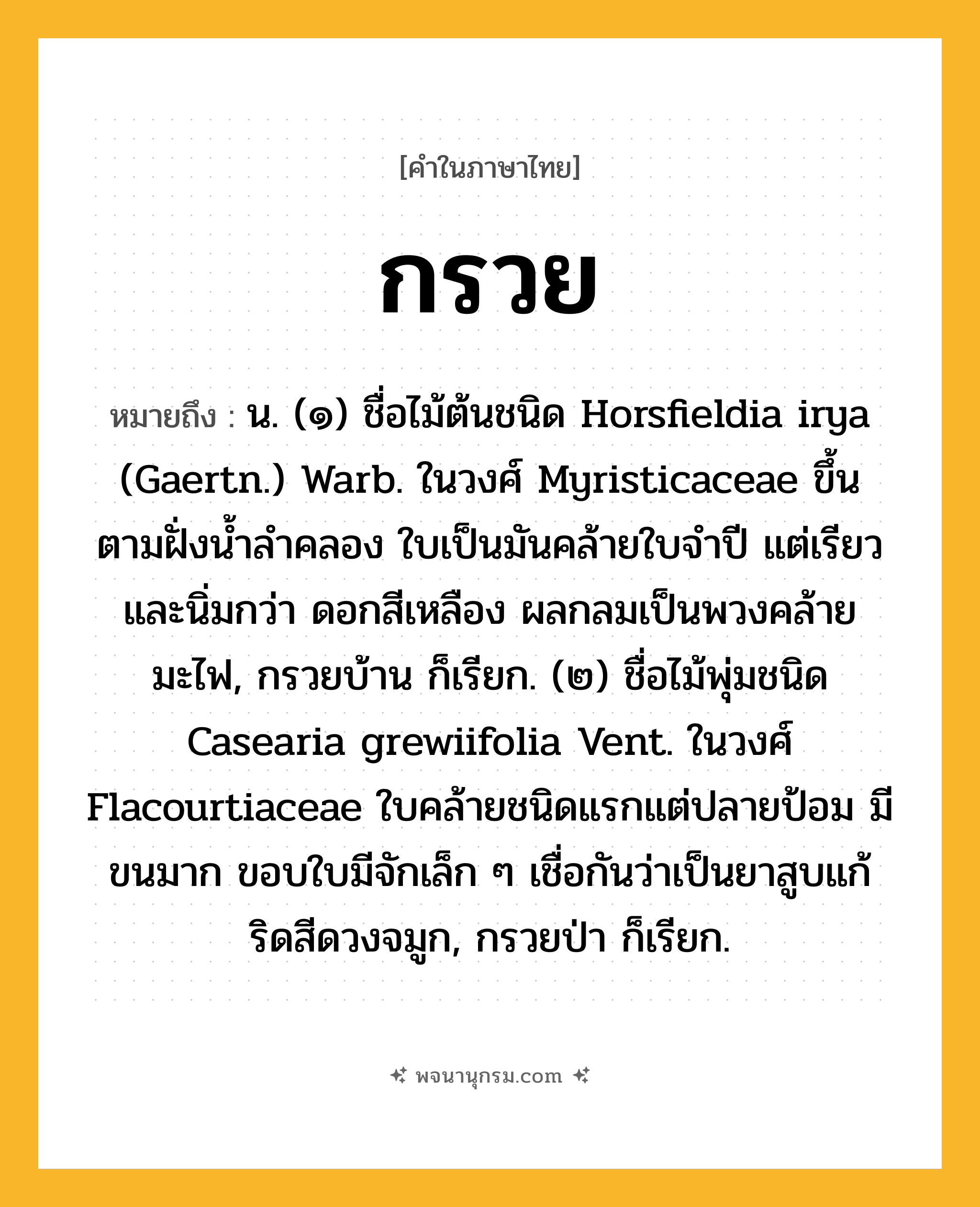 กรวย ความหมาย หมายถึงอะไร?, คำในภาษาไทย กรวย หมายถึง น. (๑) ชื่อไม้ต้นชนิด Horsfieldia irya (Gaertn.) Warb. ในวงศ์ Myristicaceae ขึ้นตามฝั่งนํ้าลําคลอง ใบเป็นมันคล้ายใบจําปี แต่เรียวและนิ่มกว่า ดอกสีเหลือง ผลกลมเป็นพวงคล้ายมะไฟ, กรวยบ้าน ก็เรียก. (๒) ชื่อไม้พุ่มชนิด Casearia grewiifolia Vent. ในวงศ์ Flacourtiaceae ใบคล้ายชนิดแรกแต่ปลายป้อม มีขนมาก ขอบใบมีจักเล็ก ๆ เชื่อกันว่าเป็นยาสูบแก้ริดสีดวงจมูก, กรวยป่า ก็เรียก.