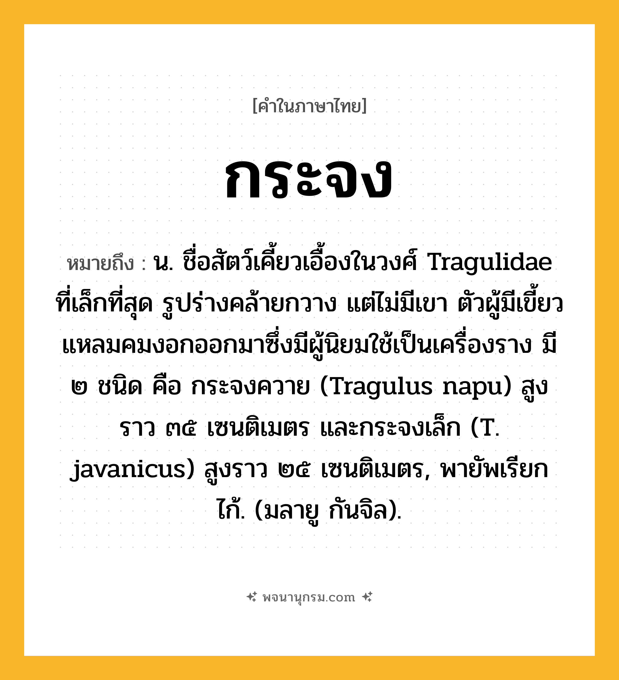 กระจง ความหมาย หมายถึงอะไร?, คำในภาษาไทย กระจง หมายถึง น. ชื่อสัตว์เคี้ยวเอื้องในวงศ์ Tragulidae ที่เล็กที่สุด รูปร่างคล้ายกวาง แต่ไม่มีเขา ตัวผู้มีเขี้ยวแหลมคมงอกออกมาซึ่งมีผู้นิยมใช้เป็นเครื่องราง มี ๒ ชนิด คือ กระจงควาย (Tragulus napu) สูงราว ๓๕ เซนติเมตร และกระจงเล็ก (T. javanicus) สูงราว ๒๕ เซนติเมตร, พายัพเรียก ไก้. (มลายู กันจิล).