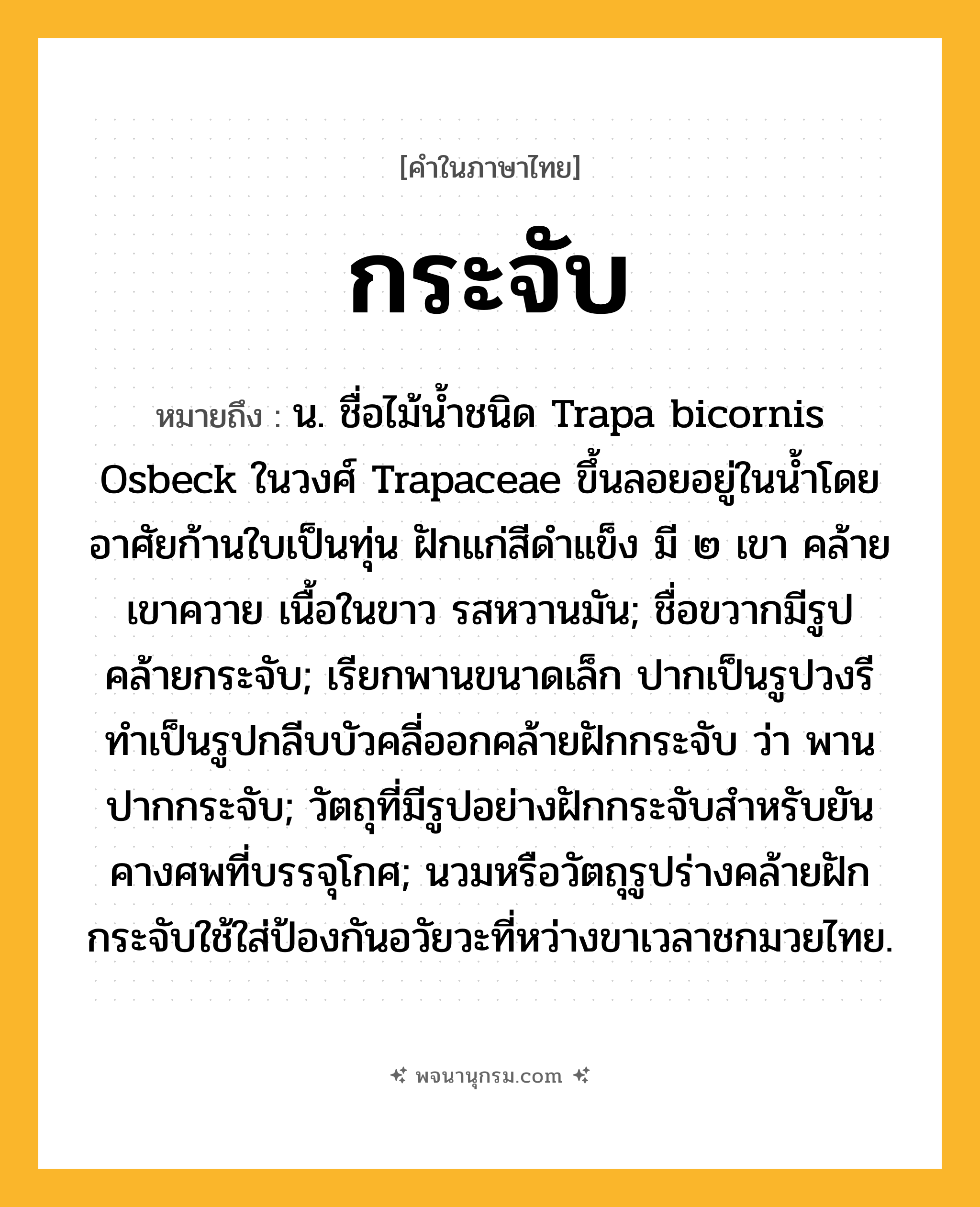 กระจับ ความหมาย หมายถึงอะไร?, คำในภาษาไทย กระจับ หมายถึง น. ชื่อไม้นํ้าชนิด Trapa bicornis Osbeck ในวงศ์ Trapaceae ขึ้นลอยอยู่ในนํ้าโดยอาศัยก้านใบเป็นทุ่น ฝักแก่สีดําแข็ง มี ๒ เขา คล้ายเขาควาย เนื้อในขาว รสหวานมัน; ชื่อขวากมีรูปคล้ายกระจับ; เรียกพานขนาดเล็ก ปากเป็นรูปวงรี ทําเป็นรูปกลีบบัวคลี่ออกคล้ายฝักกระจับ ว่า พานปากกระจับ; วัตถุที่มีรูปอย่างฝักกระจับสําหรับยันคางศพที่บรรจุโกศ; นวมหรือวัตถุรูปร่างคล้ายฝักกระจับใช้ใส่ป้องกันอวัยวะที่หว่างขาเวลาชกมวยไทย.