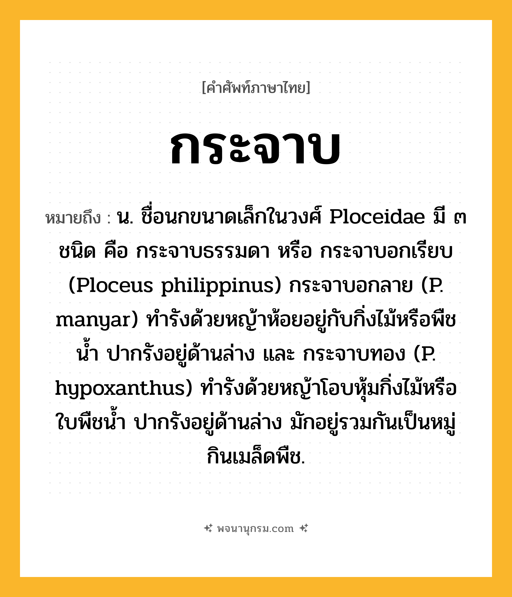 กระจาบ ความหมาย หมายถึงอะไร?, คำในภาษาไทย กระจาบ หมายถึง น. ชื่อนกขนาดเล็กในวงศ์ Ploceidae มี ๓ ชนิด คือ กระจาบธรรมดา หรือ กระจาบอกเรียบ (Ploceus philippinus) กระจาบอกลาย (P. manyar) ทำรังด้วยหญ้าห้อยอยู่กับกิ่งไม้หรือพืชน้ำ ปากรังอยู่ด้านล่าง และ กระจาบทอง (P. hypoxanthus) ทํารังด้วยหญ้าโอบหุ้มกิ่งไม้หรือใบพืชน้ำ ปากรังอยู่ด้านล่าง มักอยู่รวมกันเป็นหมู่ กินเมล็ดพืช.