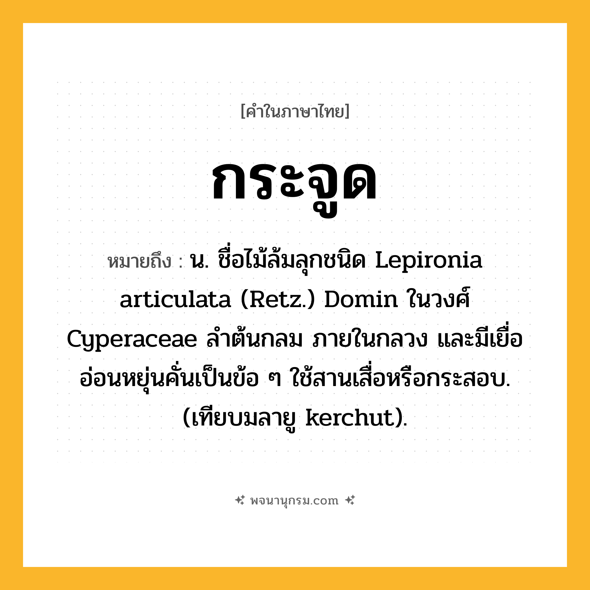 กระจูด ความหมาย หมายถึงอะไร?, คำในภาษาไทย กระจูด หมายถึง น. ชื่อไม้ล้มลุกชนิด Lepironia articulata (Retz.) Domin ในวงศ์ Cyperaceae ลําต้นกลม ภายในกลวง และมีเยื่ออ่อนหยุ่นคั่นเป็นข้อ ๆ ใช้สานเสื่อหรือกระสอบ. (เทียบมลายู kerchut).