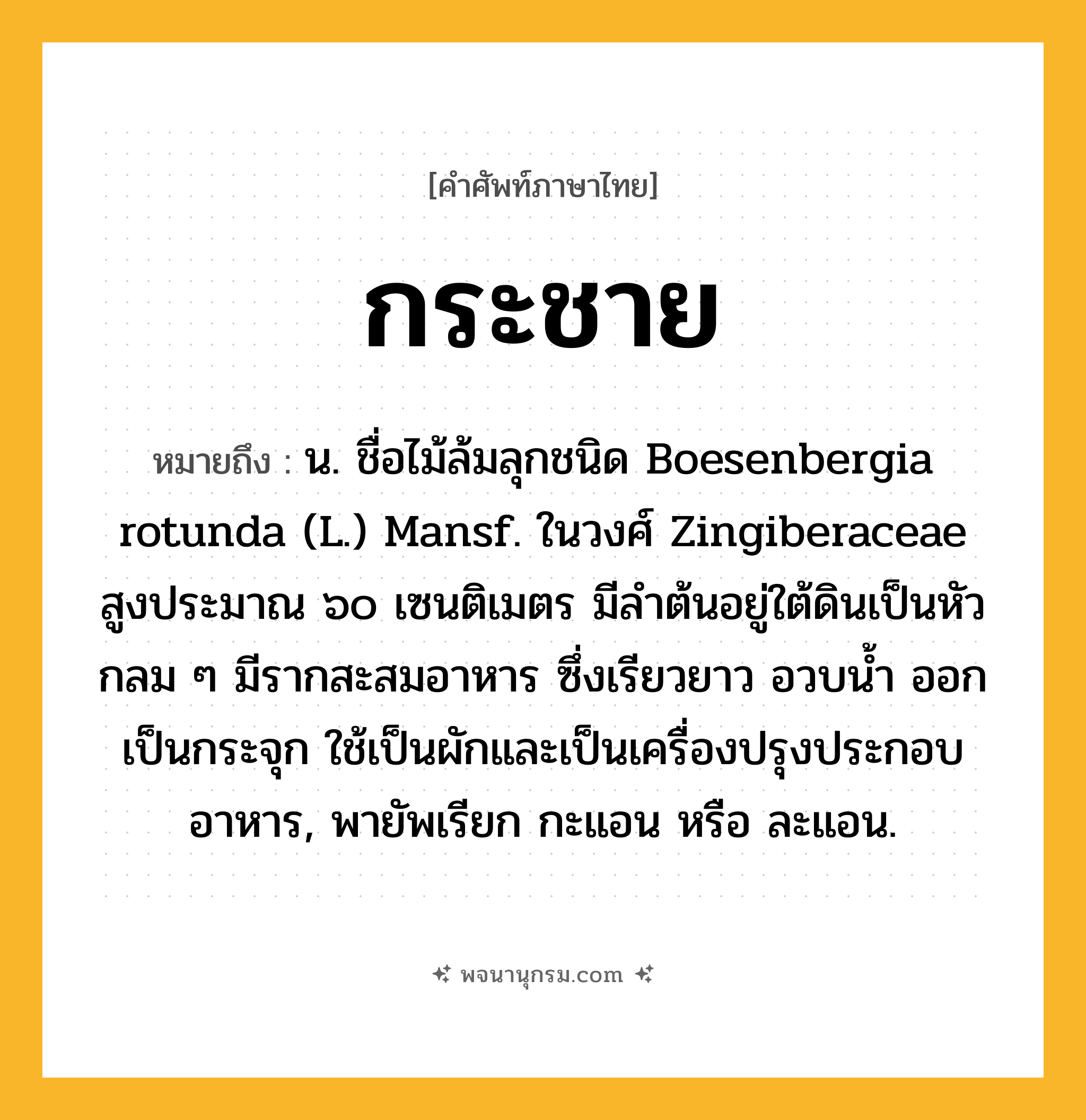 กระชาย ความหมาย หมายถึงอะไร?, คำในภาษาไทย กระชาย หมายถึง น. ชื่อไม้ล้มลุกชนิด Boesenbergia rotunda (L.) Mansf. ในวงศ์ Zingiberaceae สูงประมาณ ๖๐ เซนติเมตร มีลําต้นอยู่ใต้ดินเป็นหัวกลม ๆ มีรากสะสมอาหาร ซึ่งเรียวยาว อวบนํ้า ออกเป็นกระจุก ใช้เป็นผักและเป็นเครื่องปรุงประกอบอาหาร, พายัพเรียก กะแอน หรือ ละแอน.
