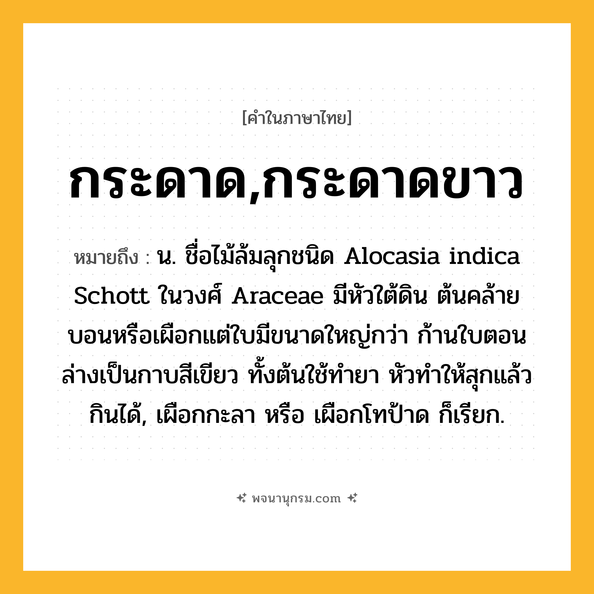 กระดาด,กระดาดขาว ความหมาย หมายถึงอะไร?, คำในภาษาไทย กระดาด,กระดาดขาว หมายถึง น. ชื่อไม้ล้มลุกชนิด Alocasia indica Schott ในวงศ์ Araceae มีหัวใต้ดิน ต้นคล้ายบอนหรือเผือกแต่ใบมีขนาดใหญ่กว่า ก้านใบตอนล่างเป็นกาบสีเขียว ทั้งต้นใช้ทํายา หัวทําให้สุกแล้วกินได้, เผือกกะลา หรือ เผือกโทป้าด ก็เรียก.