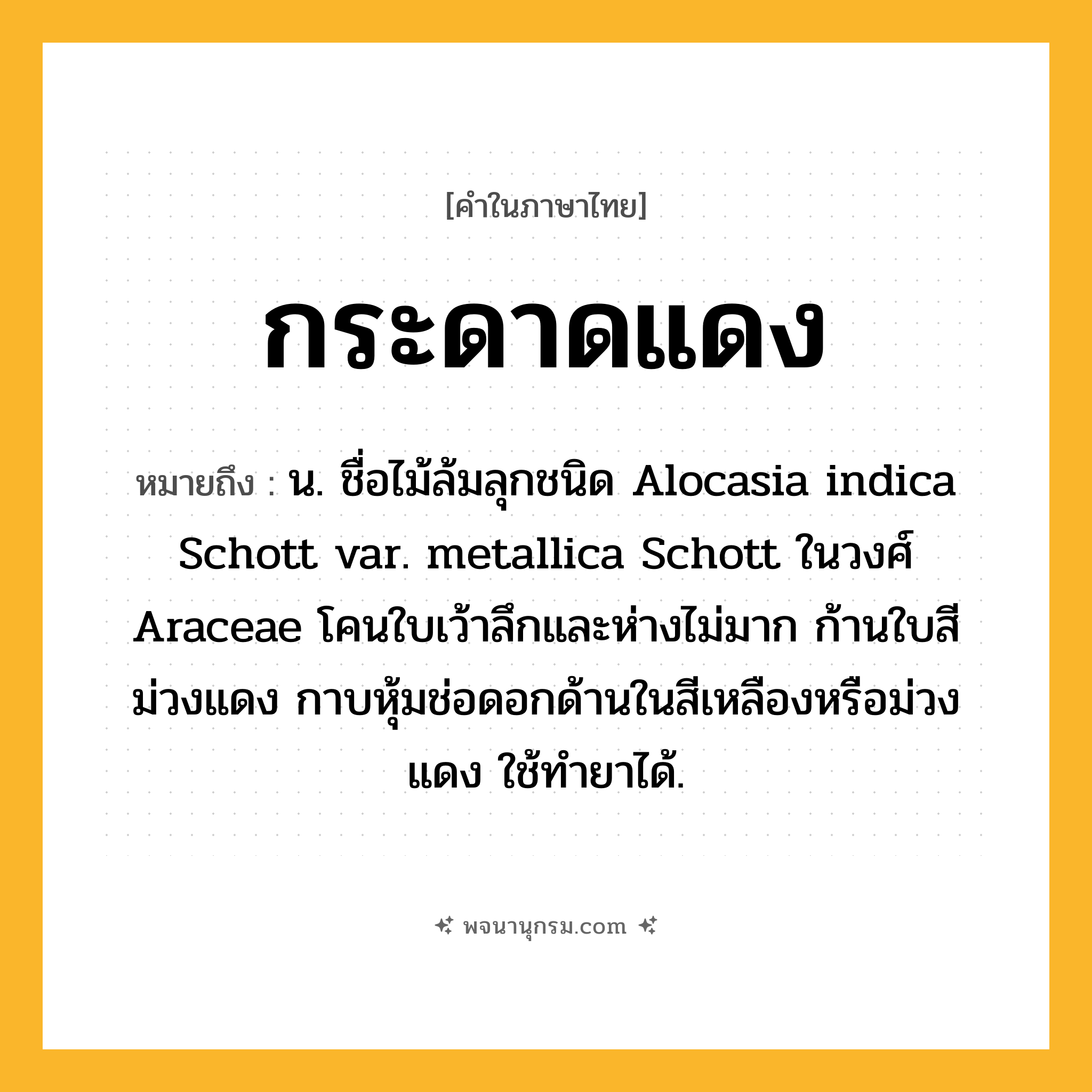 กระดาดแดง ความหมาย หมายถึงอะไร?, คำในภาษาไทย กระดาดแดง หมายถึง น. ชื่อไม้ล้มลุกชนิด Alocasia indica Schott var. metallica Schott ในวงศ์ Araceae โคนใบเว้าลึกและห่างไม่มาก ก้านใบสีม่วงแดง กาบหุ้มช่อดอกด้านในสีเหลืองหรือม่วงแดง ใช้ทํายาได้.