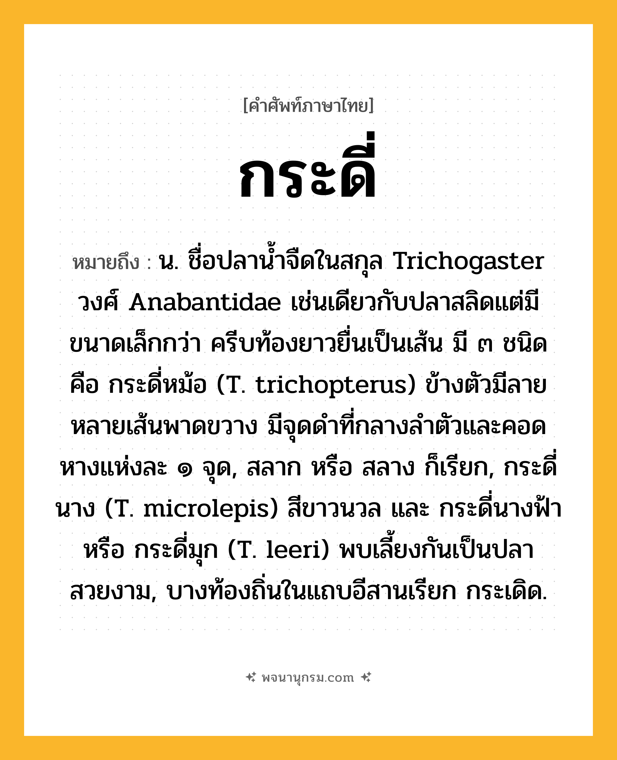 กระดี่ ความหมาย หมายถึงอะไร?, คำในภาษาไทย กระดี่ หมายถึง น. ชื่อปลานํ้าจืดในสกุล Trichogaster วงศ์ Anabantidae เช่นเดียวกับปลาสลิดแต่มีขนาดเล็กกว่า ครีบท้องยาวยื่นเป็นเส้น มี ๓ ชนิด คือ กระดี่หม้อ (T. trichopterus) ข้างตัวมีลายหลายเส้นพาดขวาง มีจุดดําที่กลางลําตัวและคอดหางแห่งละ ๑ จุด, สลาก หรือ สลาง ก็เรียก, กระดี่นาง (T. microlepis) สีขาวนวล และ กระดี่นางฟ้า หรือ กระดี่มุก (T. leeri) พบเลี้ยงกันเป็นปลาสวยงาม, บางท้องถิ่นในแถบอีสานเรียก กระเดิด.