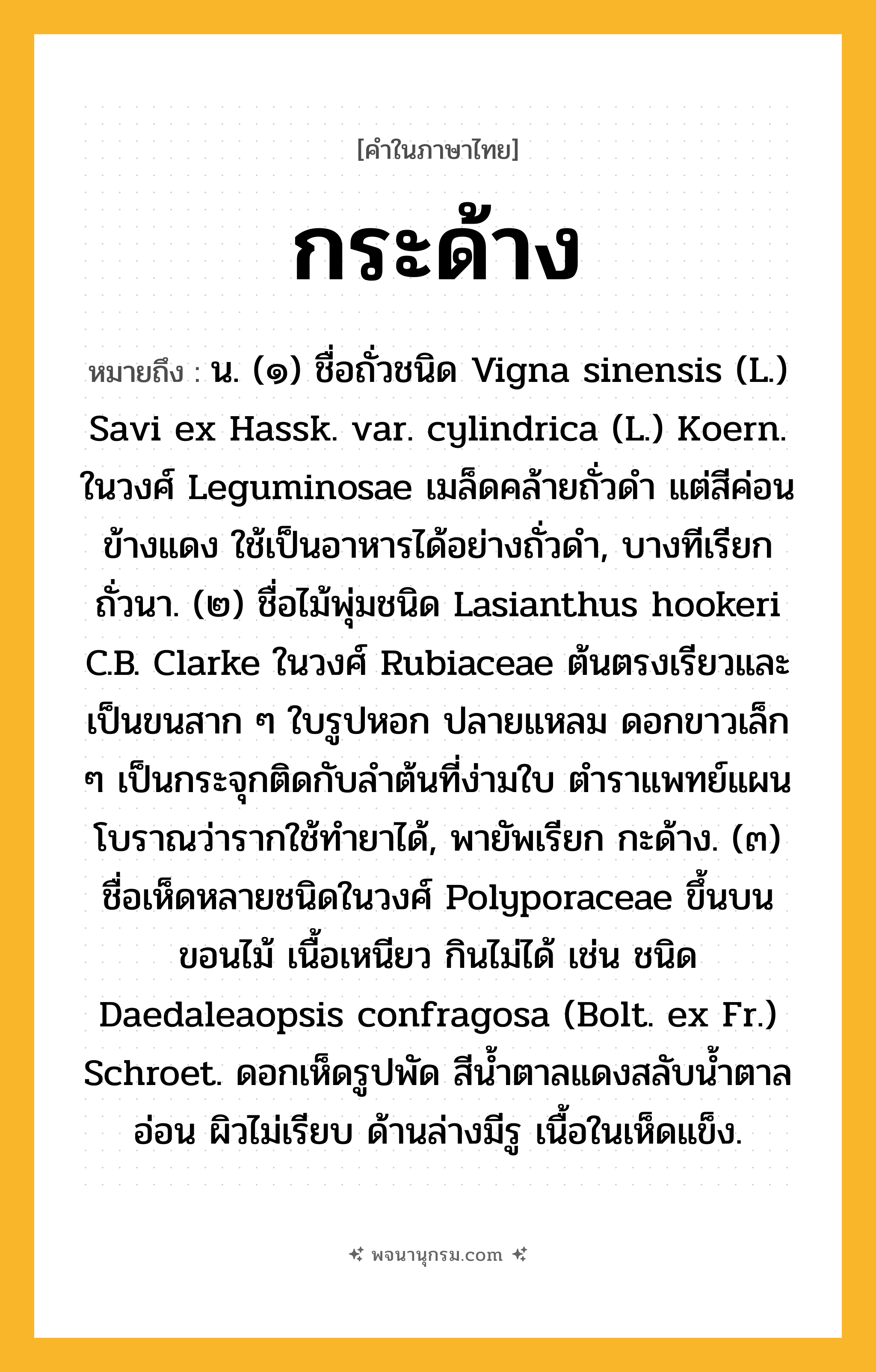 กระด้าง ความหมาย หมายถึงอะไร?, คำในภาษาไทย กระด้าง หมายถึง น. (๑) ชื่อถั่วชนิด Vigna sinensis (L.) Savi ex Hassk. var. cylindrica (L.) Koern. ในวงศ์ Leguminosae เมล็ดคล้ายถั่วดํา แต่สีค่อนข้างแดง ใช้เป็นอาหารได้อย่างถั่วดํา, บางทีเรียก ถั่วนา. (๒) ชื่อไม้พุ่มชนิด Lasianthus hookeri C.B. Clarke ในวงศ์ Rubiaceae ต้นตรงเรียวและเป็นขนสาก ๆ ใบรูปหอก ปลายแหลม ดอกขาวเล็ก ๆ เป็นกระจุกติดกับลําต้นที่ง่ามใบ ตําราแพทย์แผนโบราณว่ารากใช้ทํายาได้, พายัพเรียก กะด้าง. (๓) ชื่อเห็ดหลายชนิดในวงศ์ Polyporaceae ขึ้นบนขอนไม้ เนื้อเหนียว กินไม่ได้ เช่น ชนิด Daedaleaopsis confragosa (Bolt. ex Fr.) Schroet. ดอกเห็ดรูปพัด สีน้ำตาลแดงสลับน้ำตาลอ่อน ผิวไม่เรียบ ด้านล่างมีรู เนื้อในเห็ดแข็ง.