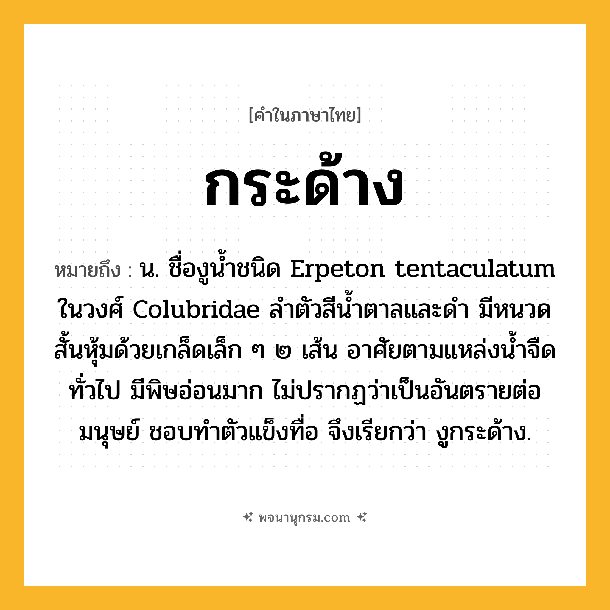 กระด้าง ความหมาย หมายถึงอะไร?, คำในภาษาไทย กระด้าง หมายถึง น. ชื่องูนํ้าชนิด Erpeton tentaculatum ในวงศ์ Colubridae ลําตัวสีนํ้าตาลและดํา มีหนวดสั้นหุ้มด้วยเกล็ดเล็ก ๆ ๒ เส้น อาศัยตามแหล่งนํ้าจืดทั่วไป มีพิษอ่อนมาก ไม่ปรากฏว่าเป็นอันตรายต่อมนุษย์ ชอบทําตัวแข็งทื่อ จึงเรียกว่า งูกระด้าง.