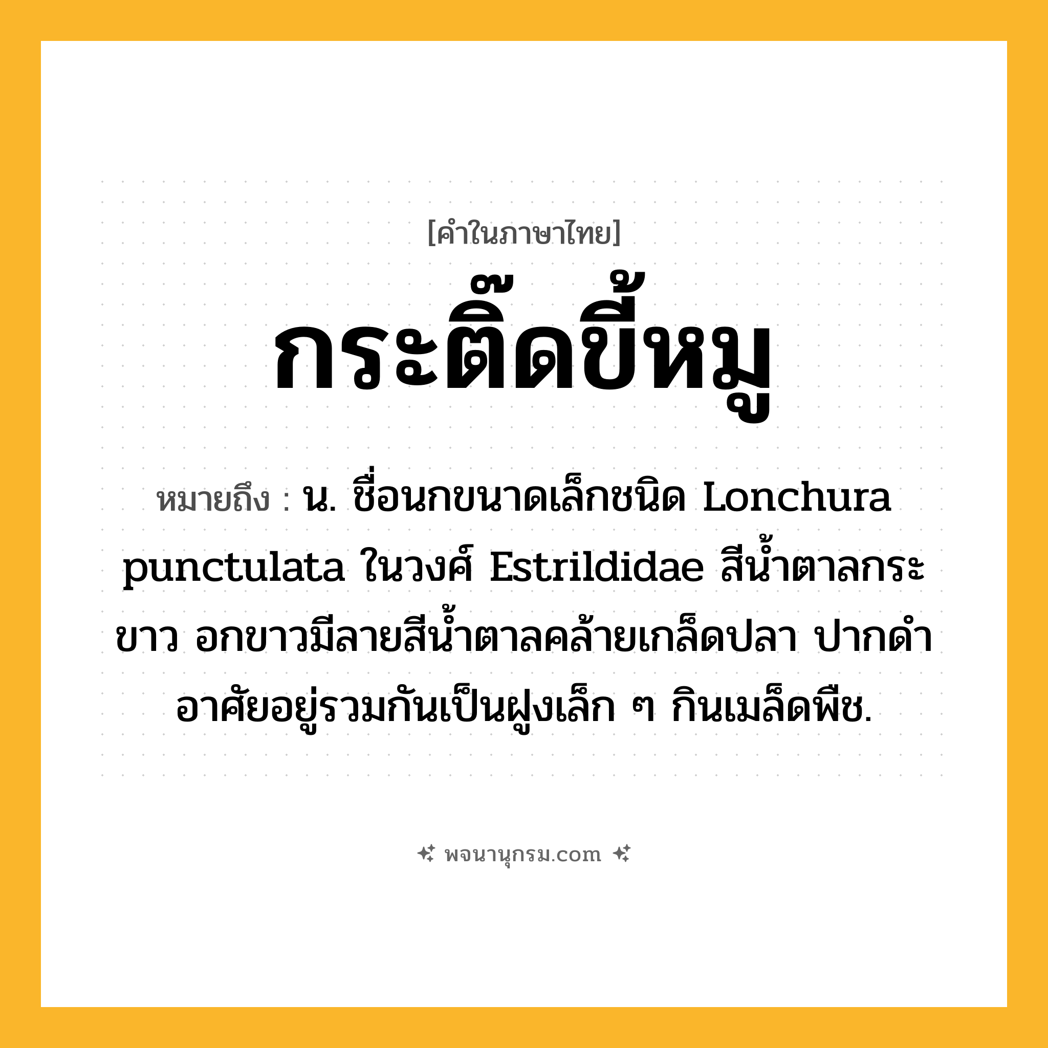 กระติ๊ดขี้หมู ความหมาย หมายถึงอะไร?, คำในภาษาไทย กระติ๊ดขี้หมู หมายถึง น. ชื่อนกขนาดเล็กชนิด Lonchura punctulata ในวงศ์ Estrildidae สีนํ้าตาลกระขาว อกขาวมีลายสีนํ้าตาลคล้ายเกล็ดปลา ปากดําอาศัยอยู่รวมกันเป็นฝูงเล็ก ๆ กินเมล็ดพืช.