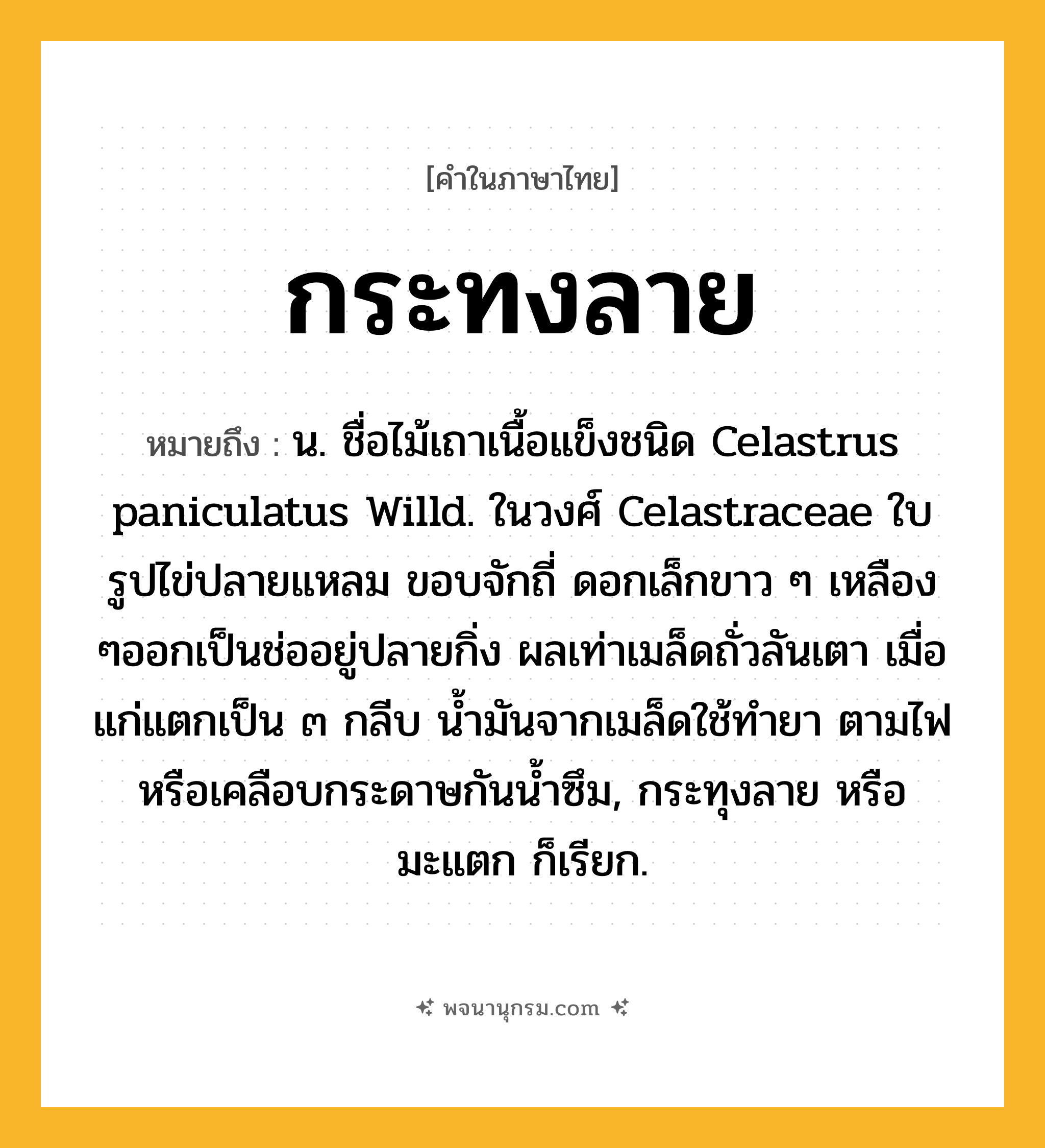 กระทงลาย ความหมาย หมายถึงอะไร?, คำในภาษาไทย กระทงลาย หมายถึง น. ชื่อไม้เถาเนื้อแข็งชนิด Celastrus paniculatus Willd. ในวงศ์ Celastraceae ใบรูปไข่ปลายแหลม ขอบจักถี่ ดอกเล็กขาว ๆ เหลือง ๆออกเป็นช่ออยู่ปลายกิ่ง ผลเท่าเมล็ดถั่วลันเตา เมื่อแก่แตกเป็น ๓ กลีบ นํ้ามันจากเมล็ดใช้ทํายา ตามไฟ หรือเคลือบกระดาษกันนํ้าซึม, กระทุงลาย หรือ มะแตก ก็เรียก.
