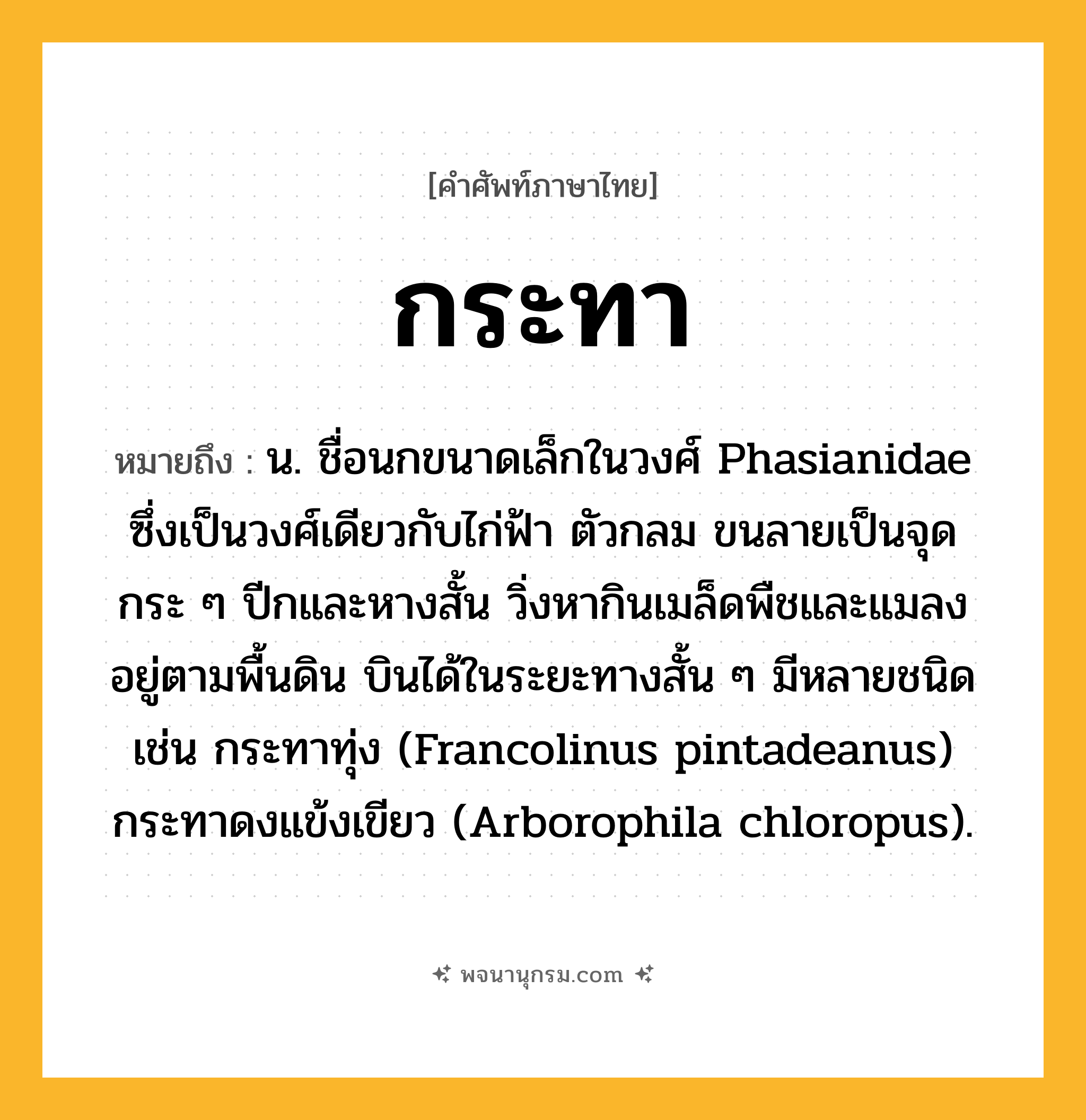 กระทา ความหมาย หมายถึงอะไร?, คำในภาษาไทย กระทา หมายถึง น. ชื่อนกขนาดเล็กในวงศ์ Phasianidae ซึ่งเป็นวงศ์เดียวกับไก่ฟ้า ตัวกลม ขนลายเป็นจุดกระ ๆ ปีกและหางสั้น วิ่งหากินเมล็ดพืชและแมลงอยู่ตามพื้นดิน บินได้ในระยะทางสั้น ๆ มีหลายชนิด เช่น กระทาทุ่ง (Francolinus pintadeanus) กระทาดงแข้งเขียว (Arborophila chloropus).
