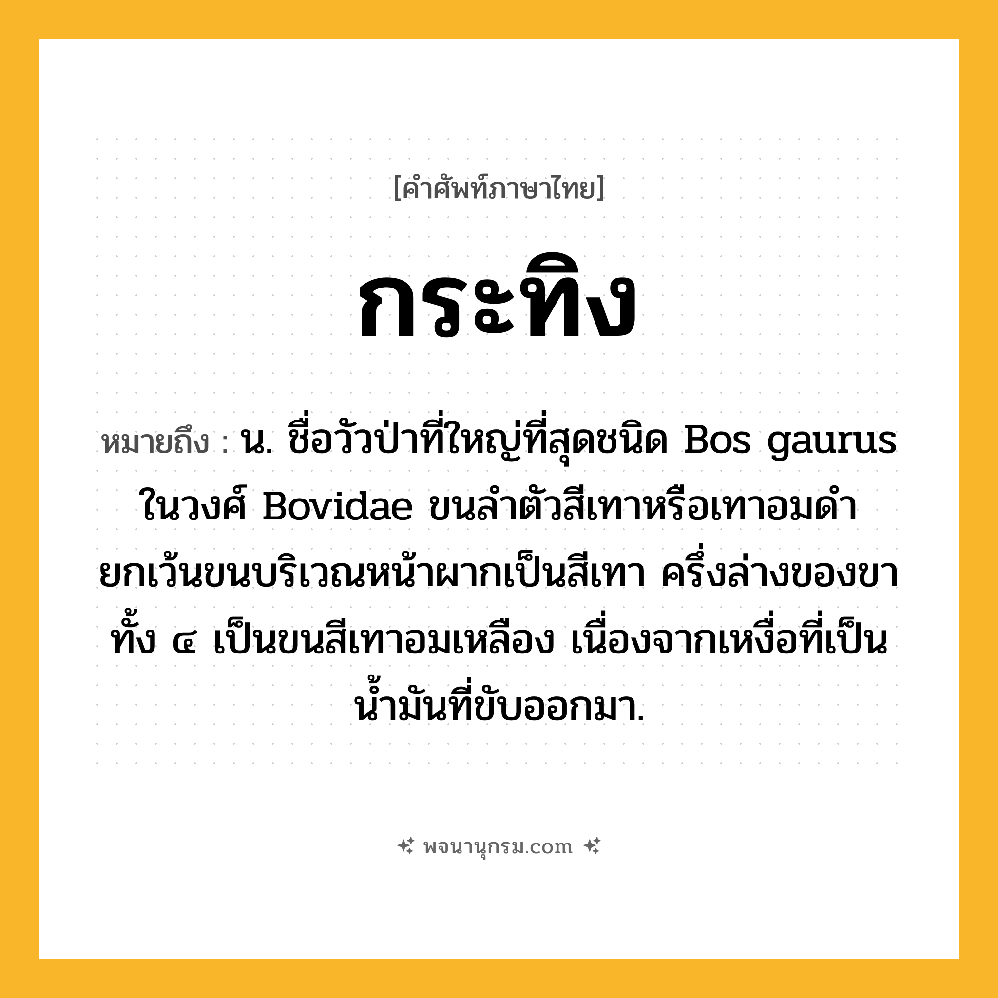 กระทิง ความหมาย หมายถึงอะไร?, คำในภาษาไทย กระทิง หมายถึง น. ชื่อวัวป่าที่ใหญ่ที่สุดชนิด Bos gaurus ในวงศ์ Bovidae ขนลำตัวสีเทาหรือเทาอมดำ ยกเว้นขนบริเวณหน้าผากเป็นสีเทา ครึ่งล่างของขาทั้ง ๔ เป็นขนสีเทาอมเหลือง เนื่องจากเหงื่อที่เป็นน้ำมันที่ขับออกมา.