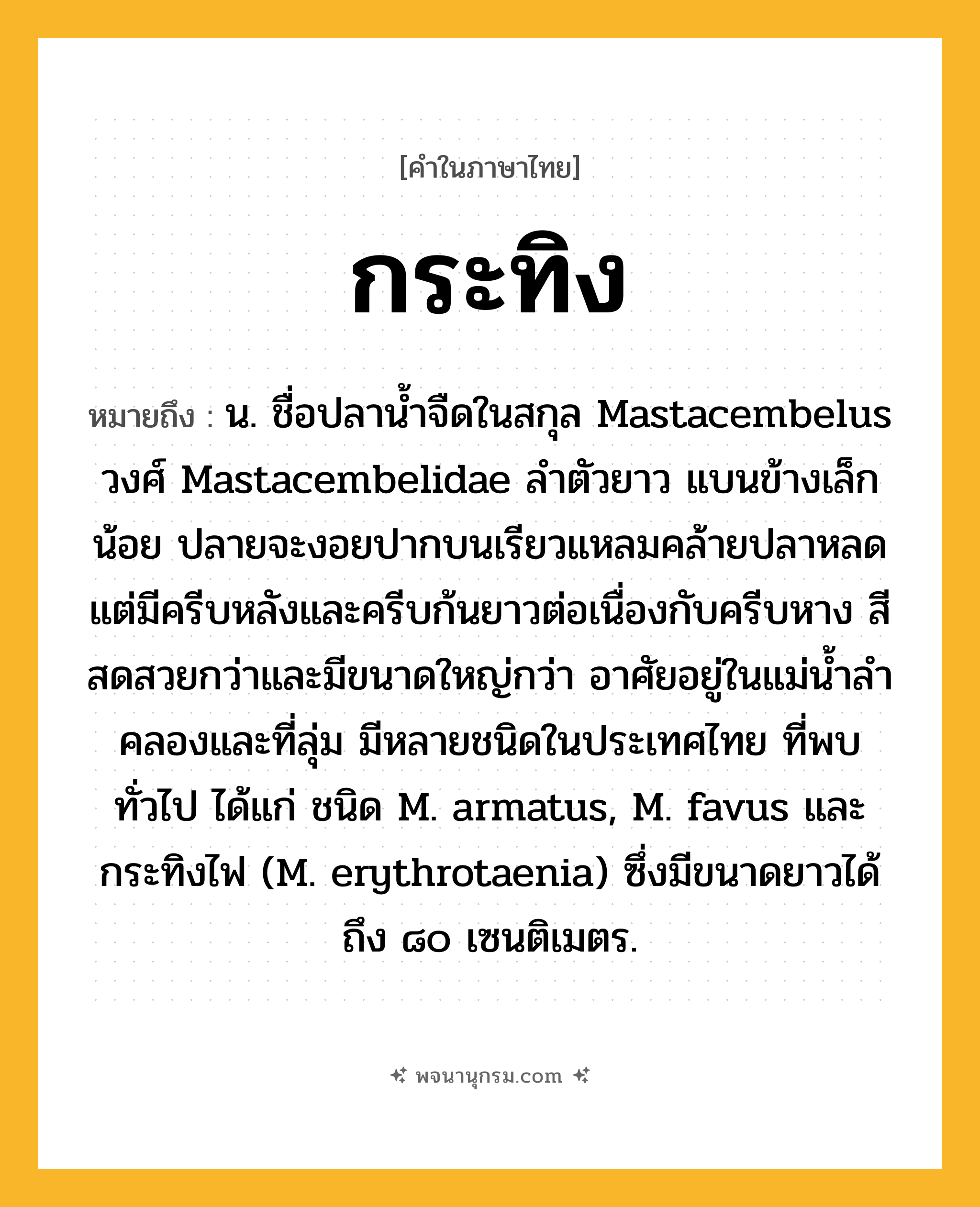กระทิง ความหมาย หมายถึงอะไร?, คำในภาษาไทย กระทิง หมายถึง น. ชื่อปลานํ้าจืดในสกุล Mastacembelus วงศ์ Mastacembelidae ลําตัวยาว แบนข้างเล็กน้อย ปลายจะงอยปากบนเรียวแหลมคล้ายปลาหลด แต่มีครีบหลังและครีบก้นยาวต่อเนื่องกับครีบหาง สีสดสวยกว่าและมีขนาดใหญ่กว่า อาศัยอยู่ในแม่นํ้าลําคลองและที่ลุ่ม มีหลายชนิดในประเทศไทย ที่พบทั่วไป ได้แก่ ชนิด M. armatus, M. favus และกระทิงไฟ (M. erythrotaenia) ซึ่งมีขนาดยาวได้ถึง ๘๐ เซนติเมตร.