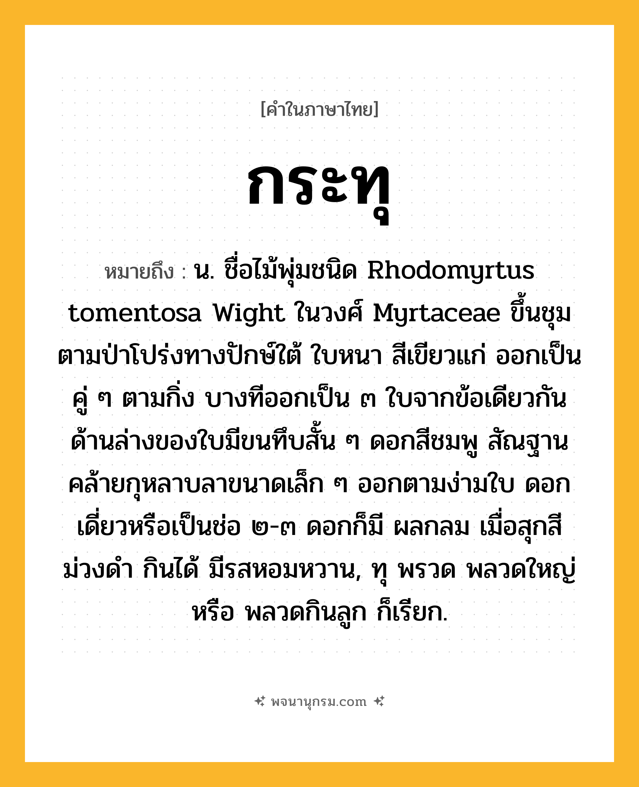 กระทุ ความหมาย หมายถึงอะไร?, คำในภาษาไทย กระทุ หมายถึง น. ชื่อไม้พุ่มชนิด Rhodomyrtus tomentosa Wight ในวงศ์ Myrtaceae ขึ้นชุมตามป่าโปร่งทางปักษ์ใต้ ใบหนา สีเขียวแก่ ออกเป็นคู่ ๆ ตามกิ่ง บางทีออกเป็น ๓ ใบจากข้อเดียวกัน ด้านล่างของใบมีขนทึบสั้น ๆ ดอกสีชมพู สัณฐานคล้ายกุหลาบลาขนาดเล็ก ๆ ออกตามง่ามใบ ดอกเดี่ยวหรือเป็นช่อ ๒-๓ ดอกก็มี ผลกลม เมื่อสุกสีม่วงดํา กินได้ มีรสหอมหวาน, ทุ พรวด พลวดใหญ่ หรือ พลวดกินลูก ก็เรียก.