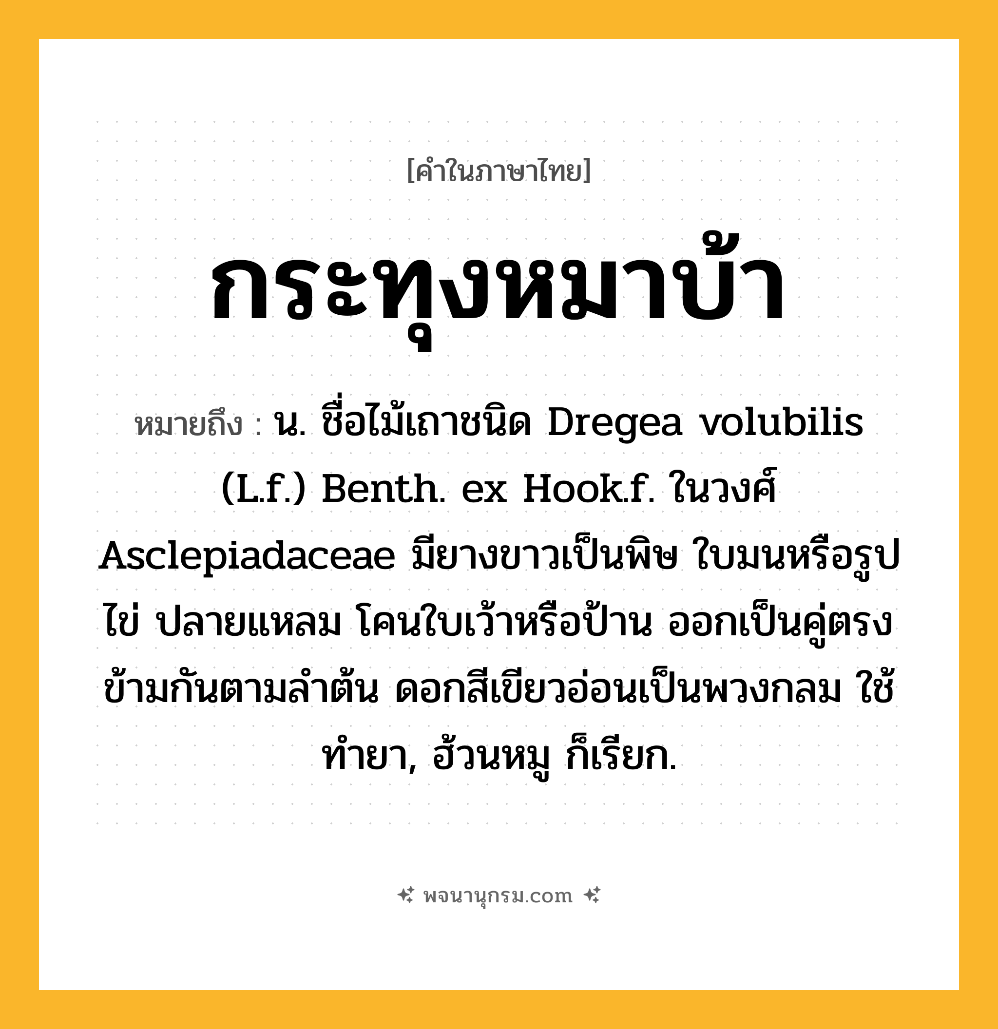 กระทุงหมาบ้า ความหมาย หมายถึงอะไร?, คำในภาษาไทย กระทุงหมาบ้า หมายถึง น. ชื่อไม้เถาชนิด Dregea volubilis (L.f.) Benth. ex Hook.f. ในวงศ์ Asclepiadaceae มียางขาวเป็นพิษ ใบมนหรือรูปไข่ ปลายแหลม โคนใบเว้าหรือป้าน ออกเป็นคู่ตรงข้ามกันตามลําต้น ดอกสีเขียวอ่อนเป็นพวงกลม ใช้ทํายา, ฮ้วนหมู ก็เรียก.