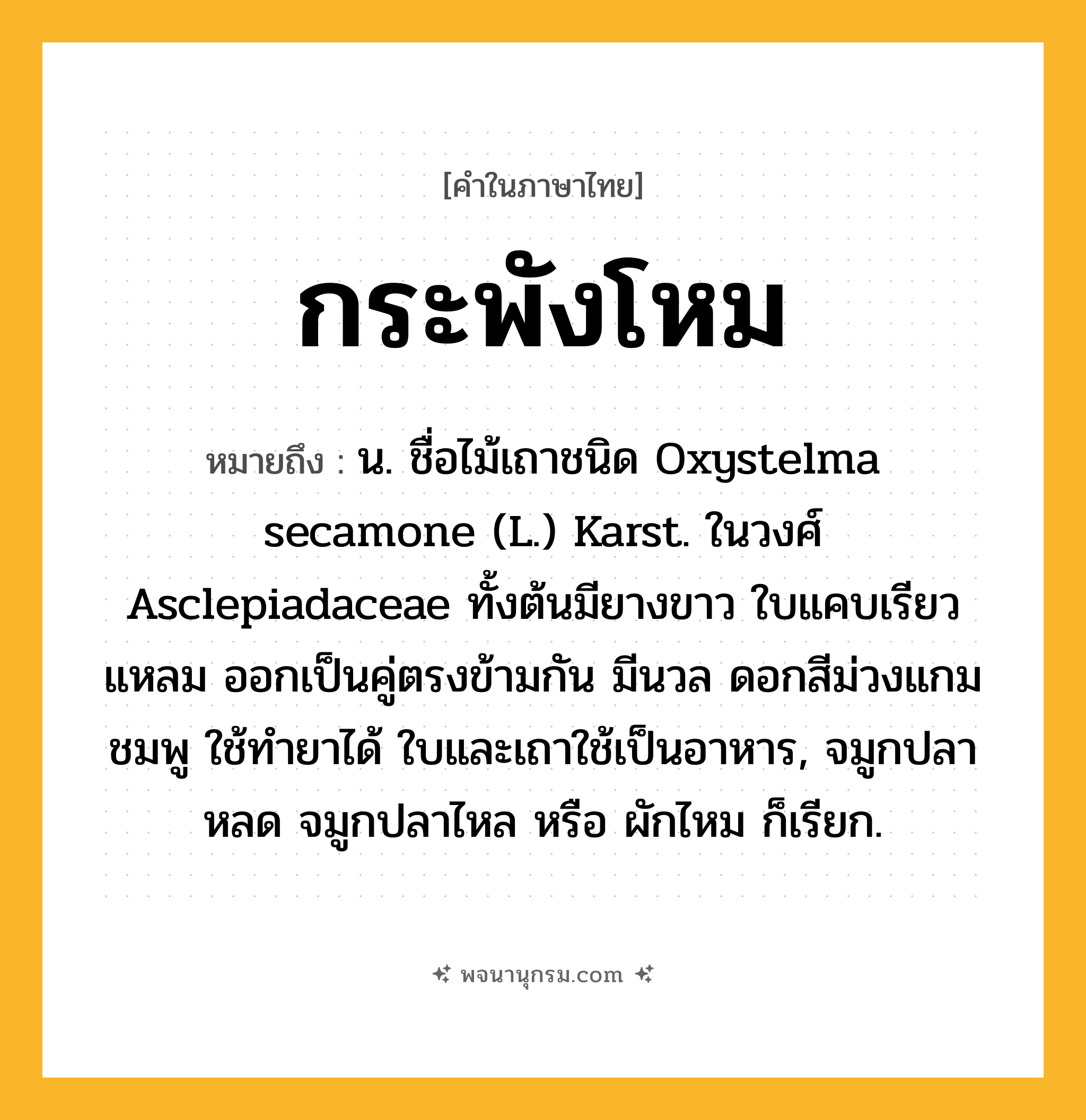 กระพังโหม ความหมาย หมายถึงอะไร?, คำในภาษาไทย กระพังโหม หมายถึง น. ชื่อไม้เถาชนิด Oxystelma secamone (L.) Karst. ในวงศ์ Asclepiadaceae ทั้งต้นมียางขาว ใบแคบเรียวแหลม ออกเป็นคู่ตรงข้ามกัน มีนวล ดอกสีม่วงแกมชมพู ใช้ทํายาได้ ใบและเถาใช้เป็นอาหาร, จมูกปลาหลด จมูกปลาไหล หรือ ผักไหม ก็เรียก.