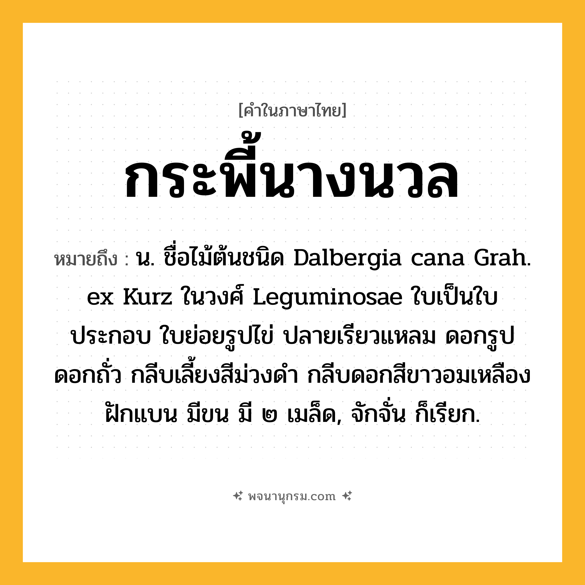 กระพี้นางนวล ความหมาย หมายถึงอะไร?, คำในภาษาไทย กระพี้นางนวล หมายถึง น. ชื่อไม้ต้นชนิด Dalbergia cana Grah. ex Kurz ในวงศ์ Leguminosae ใบเป็นใบประกอบ ใบย่อยรูปไข่ ปลายเรียวแหลม ดอกรูปดอกถั่ว กลีบเลี้ยงสีม่วงดำ กลีบดอกสีขาวอมเหลือง ฝักแบน มีขน มี ๒ เมล็ด, จักจั่น ก็เรียก.
