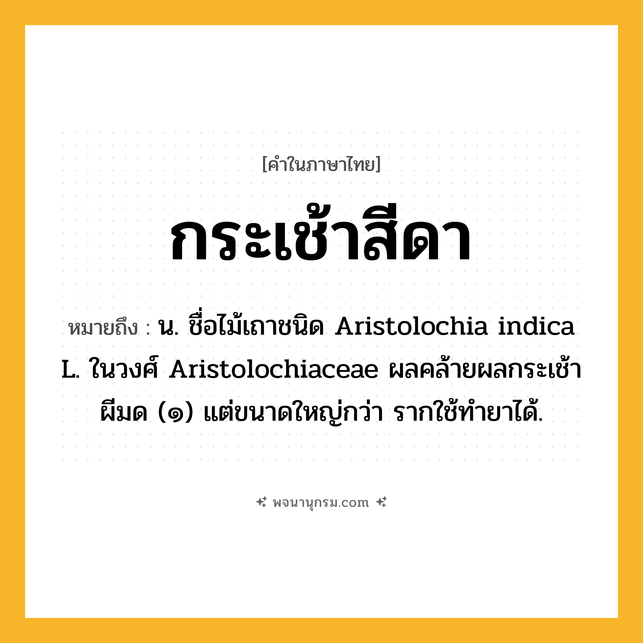 กระเช้าสีดา ความหมาย หมายถึงอะไร?, คำในภาษาไทย กระเช้าสีดา หมายถึง น. ชื่อไม้เถาชนิด Aristolochia indica L. ในวงศ์ Aristolochiaceae ผลคล้ายผลกระเช้าผีมด (๑) แต่ขนาดใหญ่กว่า รากใช้ทํายาได้.