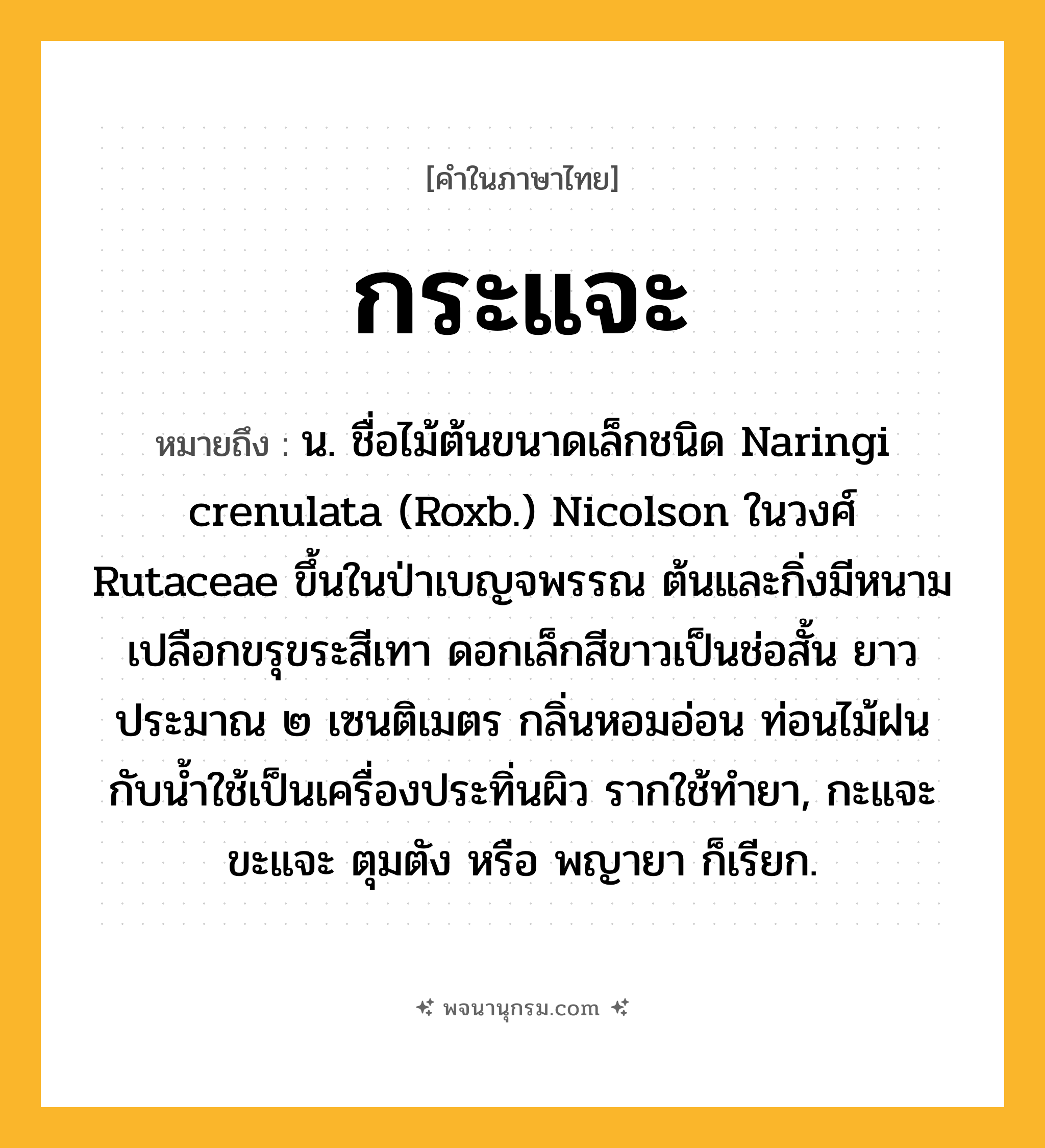 กระแจะ ความหมาย หมายถึงอะไร?, คำในภาษาไทย กระแจะ หมายถึง น. ชื่อไม้ต้นขนาดเล็กชนิด Naringi crenulata (Roxb.) Nicolson ในวงศ์ Rutaceae ขึ้นในป่าเบญจพรรณ ต้นและกิ่งมีหนามเปลือกขรุขระสีเทา ดอกเล็กสีขาวเป็นช่อสั้น ยาวประมาณ ๒ เซนติเมตร กลิ่นหอมอ่อน ท่อนไม้ฝนกับนํ้าใช้เป็นเครื่องประทิ่นผิว รากใช้ทํายา, กะแจะ ขะแจะ ตุมตัง หรือ พญายา ก็เรียก.
