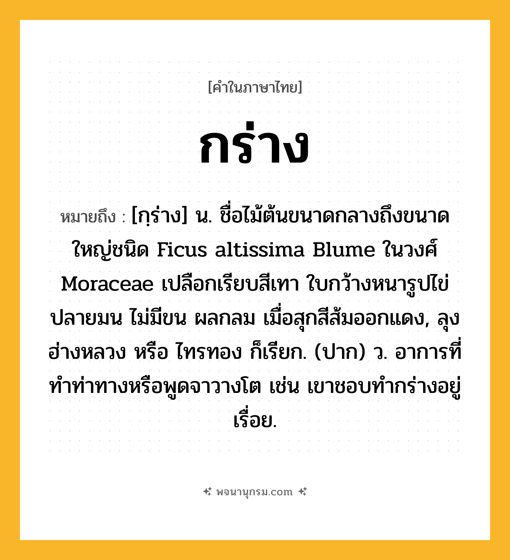 กร่าง ความหมาย หมายถึงอะไร?, คำในภาษาไทย กร่าง หมายถึง [กฺร่าง] น. ชื่อไม้ต้นขนาดกลางถึงขนาดใหญ่ชนิด Ficus altissima Blume ในวงศ์ Moraceae เปลือกเรียบสีเทา ใบกว้างหนารูปไข่ ปลายมน ไม่มีขน ผลกลม เมื่อสุกสีส้มออกแดง, ลุง ฮ่างหลวง หรือ ไทรทอง ก็เรียก. (ปาก) ว. อาการที่ทำท่าทางหรือพูดจาวางโต เช่น เขาชอบทำกร่างอยู่เรื่อย.