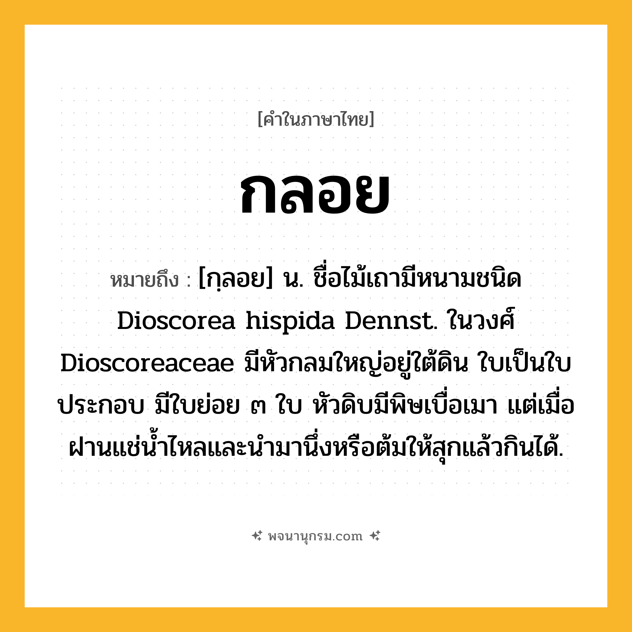 กลอย ความหมาย หมายถึงอะไร?, คำในภาษาไทย กลอย หมายถึง [กฺลอย] น. ชื่อไม้เถามีหนามชนิด Dioscorea hispida Dennst. ในวงศ์ Dioscoreaceae มีหัวกลมใหญ่อยู่ใต้ดิน ใบเป็นใบประกอบ มีใบย่อย ๓ ใบ หัวดิบมีพิษเบื่อเมา แต่เมื่อฝานแช่นํ้าไหลและนํามานึ่งหรือต้มให้สุกแล้วกินได้.