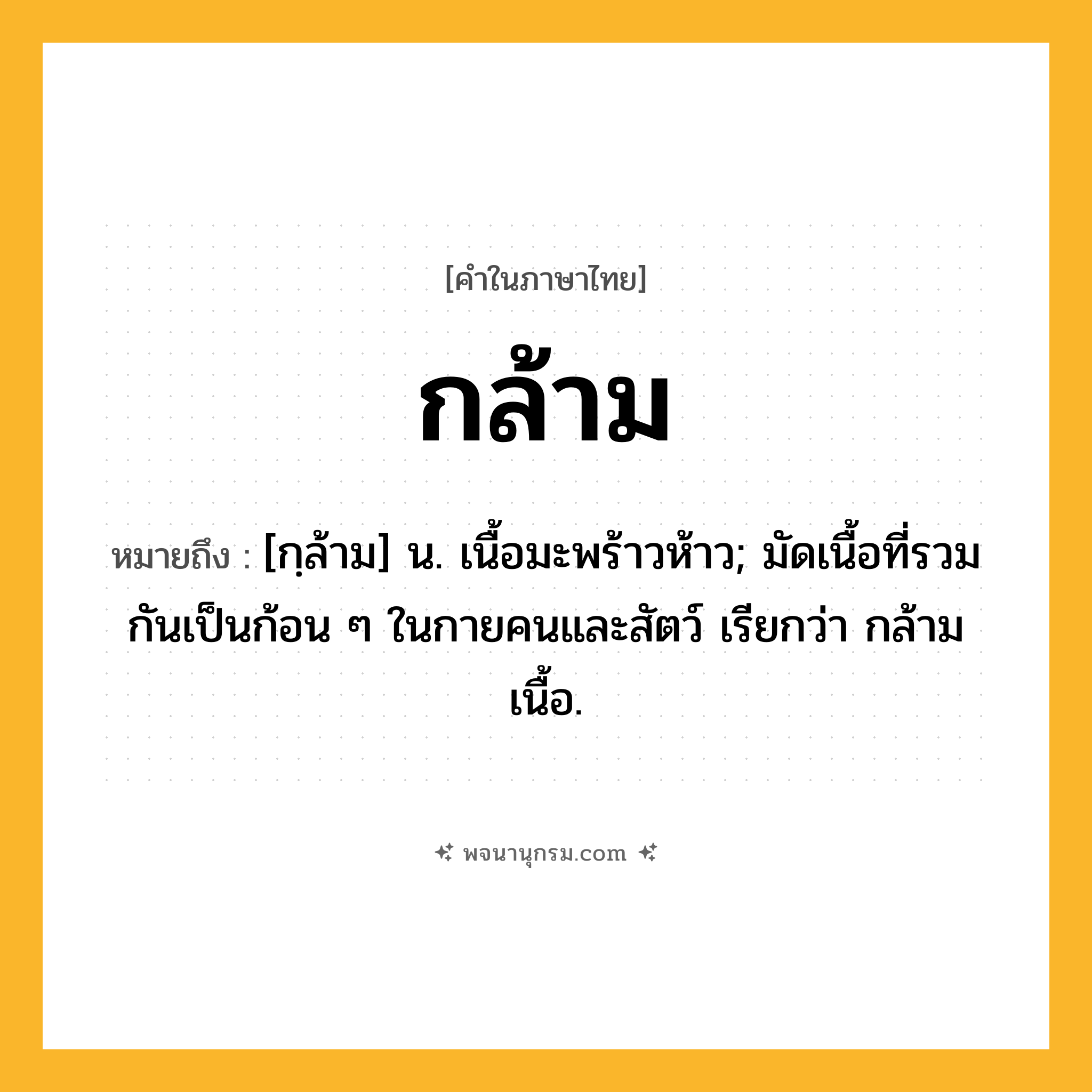 กล้าม ความหมาย หมายถึงอะไร?, คำในภาษาไทย กล้าม หมายถึง [กฺล้าม] น. เนื้อมะพร้าวห้าว; มัดเนื้อที่รวมกันเป็นก้อน ๆ ในกายคนและสัตว์ เรียกว่า กล้ามเนื้อ.