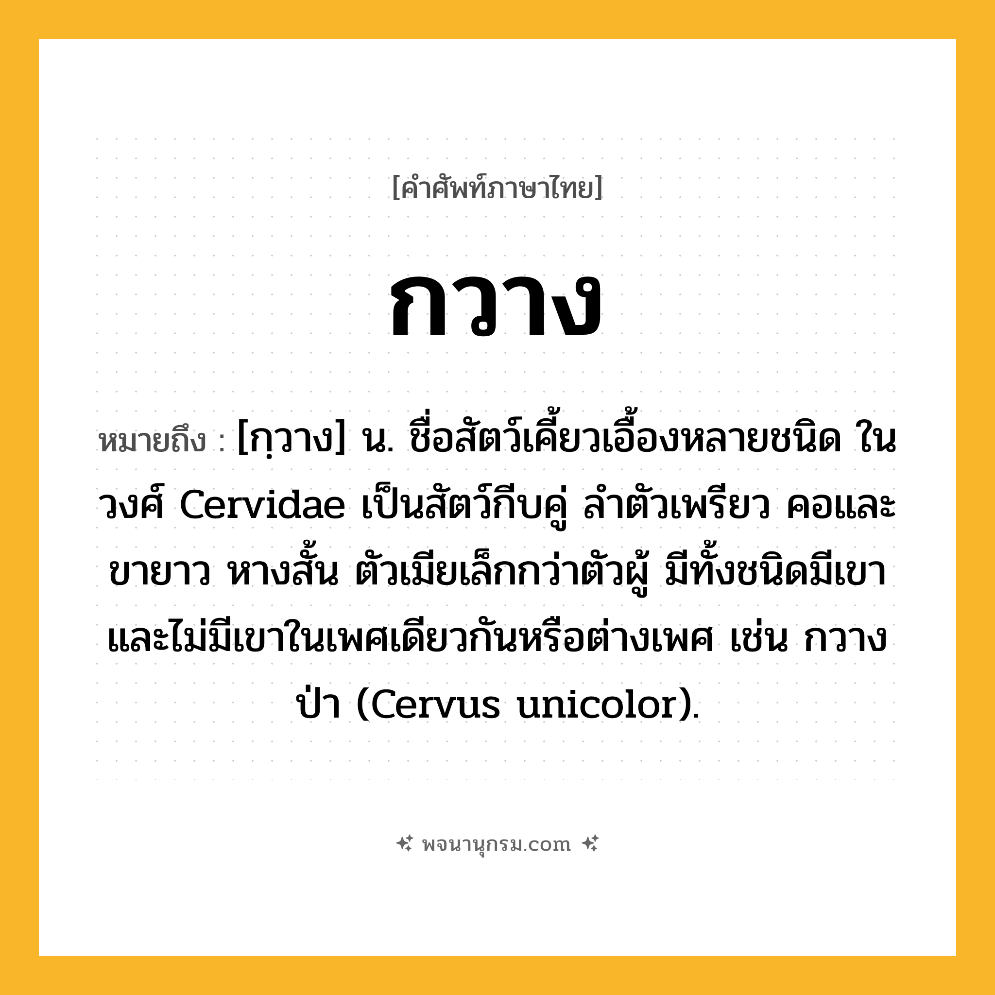 กวาง ความหมาย หมายถึงอะไร?, คำในภาษาไทย กวาง หมายถึง [กฺวาง] น. ชื่อสัตว์เคี้ยวเอื้องหลายชนิด ในวงศ์ Cervidae เป็นสัตว์กีบคู่ ลำตัวเพรียว คอและขายาว หางสั้น ตัวเมียเล็กกว่าตัวผู้ มีทั้งชนิดมีเขาและไม่มีเขาในเพศเดียวกันหรือต่างเพศ เช่น กวางป่า (Cervus unicolor).
