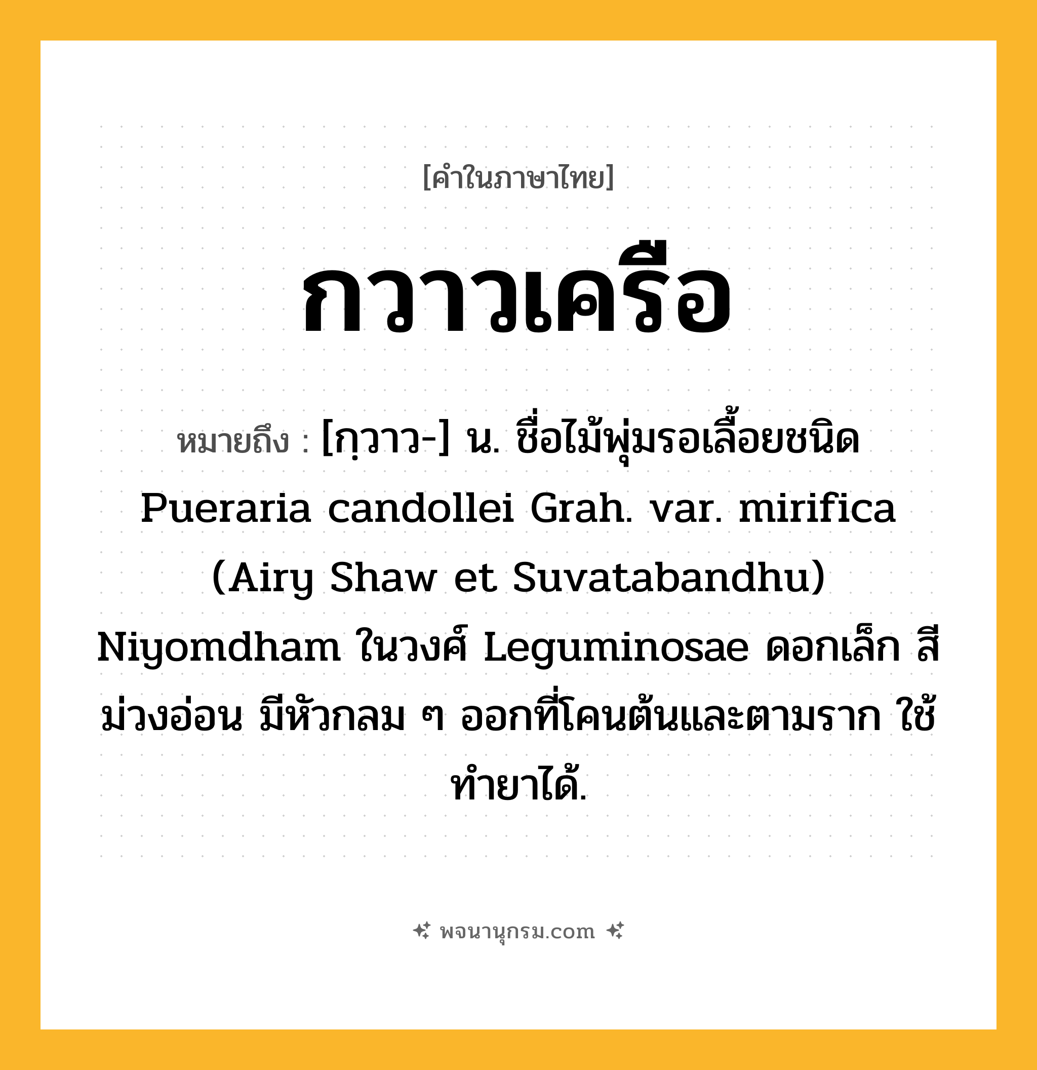 กวาวเครือ ความหมาย หมายถึงอะไร?, คำในภาษาไทย กวาวเครือ หมายถึง [กฺวาว-] น. ชื่อไม้พุ่มรอเลื้อยชนิด Pueraria candollei Grah. var. mirifica (Airy Shaw et Suvatabandhu) Niyomdham ในวงศ์ Leguminosae ดอกเล็ก สีม่วงอ่อน มีหัวกลม ๆ ออกที่โคนต้นและตามราก ใช้ทํายาได้.