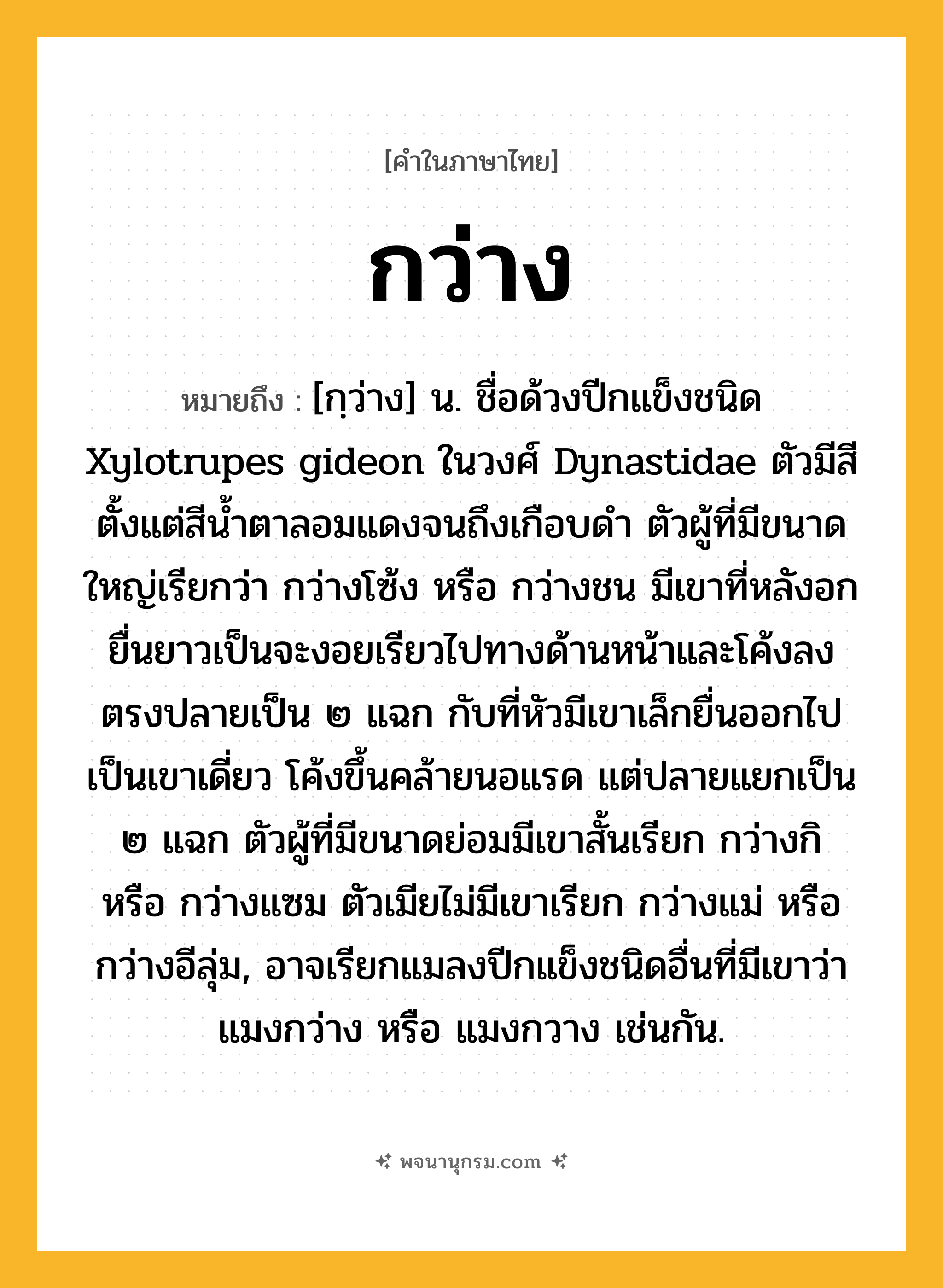 กว่าง ความหมาย หมายถึงอะไร?, คำในภาษาไทย กว่าง หมายถึง [กฺว่าง] น. ชื่อด้วงปีกแข็งชนิด Xylotrupes gideon ในวงศ์ Dynastidae ตัวมีสีตั้งแต่สีน้ำตาลอมแดงจนถึงเกือบดำ ตัวผู้ที่มีขนาดใหญ่เรียกว่า กว่างโซ้ง หรือ กว่างชน มีเขาที่หลังอกยื่นยาวเป็นจะงอยเรียวไปทางด้านหน้าและโค้งลง ตรงปลายเป็น ๒ แฉก กับที่หัวมีเขาเล็กยื่นออกไปเป็นเขาเดี่ยว โค้งขึ้นคล้ายนอแรด แต่ปลายแยกเป็น ๒ แฉก ตัวผู้ที่มีขนาดย่อมมีเขาสั้นเรียก กว่างกิ หรือ กว่างแซม ตัวเมียไม่มีเขาเรียก กว่างแม่ หรือ กว่างอีลุ่ม, อาจเรียกแมลงปีกแข็งชนิดอื่นที่มีเขาว่า แมงกว่าง หรือ แมงกวาง เช่นกัน.