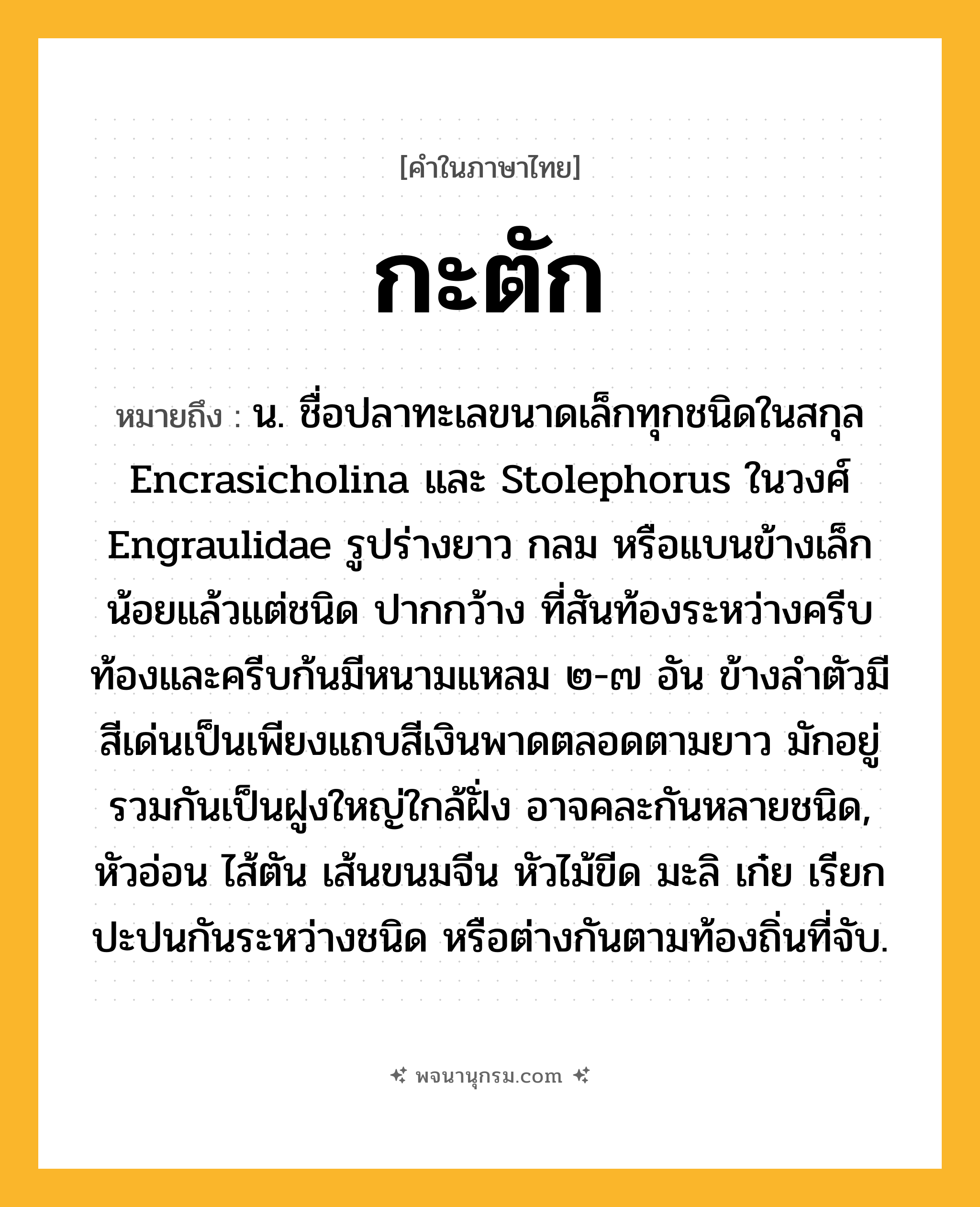 กะตัก ความหมาย หมายถึงอะไร?, คำในภาษาไทย กะตัก หมายถึง น. ชื่อปลาทะเลขนาดเล็กทุกชนิดในสกุล Encrasicholina และ Stolephorus ในวงศ์ Engraulidae รูปร่างยาว กลม หรือแบนข้างเล็กน้อยแล้วแต่ชนิด ปากกว้าง ที่สันท้องระหว่างครีบท้องและครีบก้นมีหนามแหลม ๒-๗ อัน ข้างลําตัวมีสีเด่นเป็นเพียงแถบสีเงินพาดตลอดตามยาว มักอยู่รวมกันเป็นฝูงใหญ่ใกล้ฝั่ง อาจคละกันหลายชนิด, หัวอ่อน ไส้ตัน เส้นขนมจีน หัวไม้ขีด มะลิ เก๋ย เรียกปะปนกันระหว่างชนิด หรือต่างกันตามท้องถิ่นที่จับ.