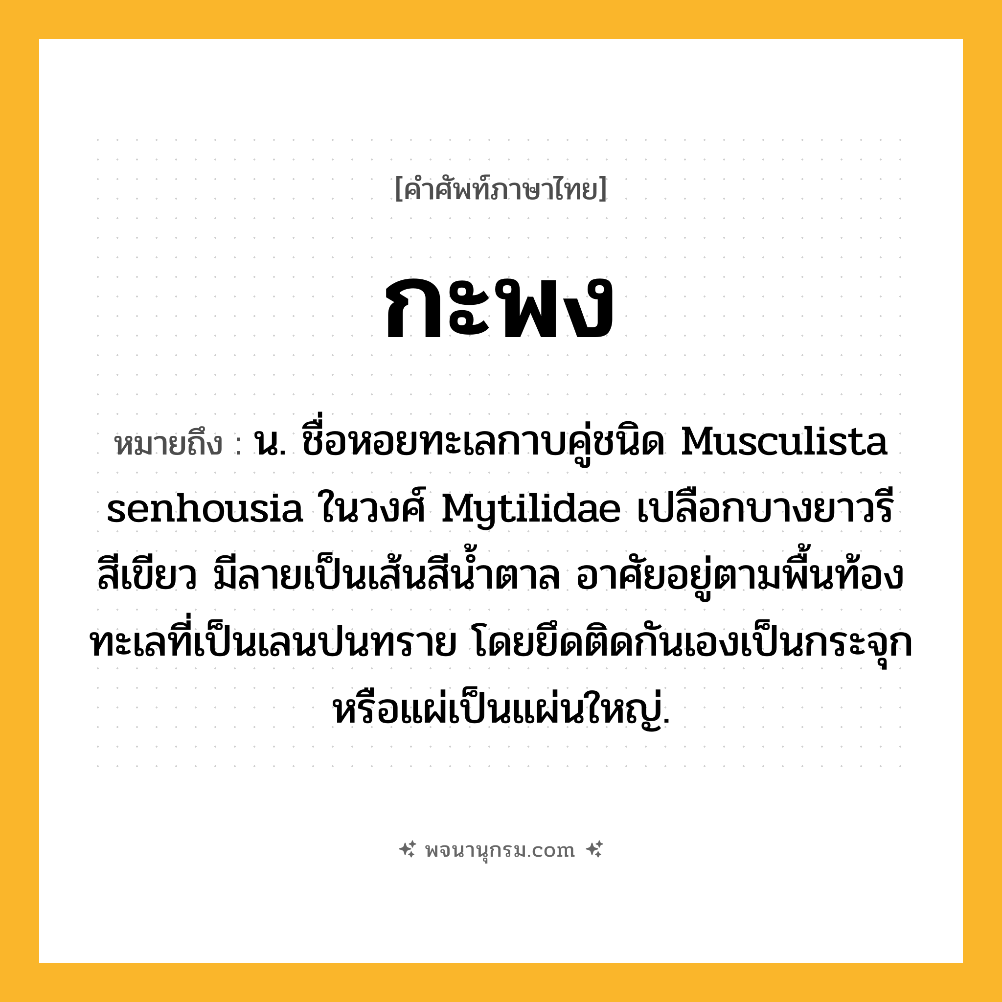 กะพง ความหมาย หมายถึงอะไร?, คำในภาษาไทย กะพง หมายถึง น. ชื่อหอยทะเลกาบคู่ชนิด Musculista senhousia ในวงศ์ Mytilidae เปลือกบางยาวรี สีเขียว มีลายเป็นเส้นสีนํ้าตาล อาศัยอยู่ตามพื้นท้องทะเลที่เป็นเลนปนทราย โดยยึดติดกันเองเป็นกระจุกหรือแผ่เป็นแผ่นใหญ่.