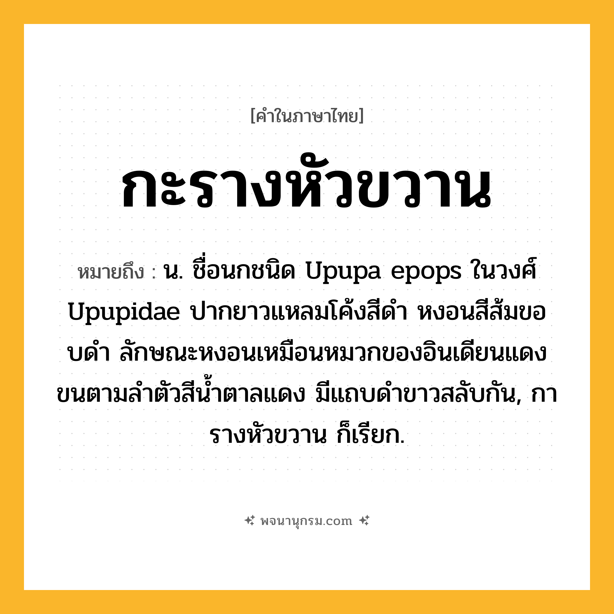 กะรางหัวขวาน ความหมาย หมายถึงอะไร?, คำในภาษาไทย กะรางหัวขวาน หมายถึง น. ชื่อนกชนิด Upupa epops ในวงศ์ Upupidae ปากยาวแหลมโค้งสีดํา หงอนสีส้มขอบดํา ลักษณะหงอนเหมือนหมวกของอินเดียนแดง ขนตามลําตัวสีนํ้าตาลแดง มีแถบดําขาวสลับกัน, การางหัวขวาน ก็เรียก.