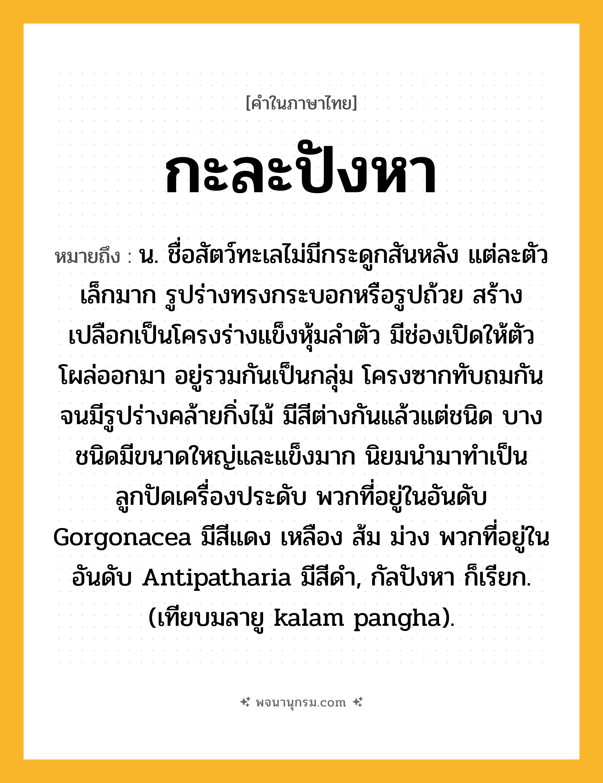 กะละปังหา ความหมาย หมายถึงอะไร?, คำในภาษาไทย กะละปังหา หมายถึง น. ชื่อสัตว์ทะเลไม่มีกระดูกสันหลัง แต่ละตัวเล็กมาก รูปร่างทรงกระบอกหรือรูปถ้วย สร้างเปลือกเป็นโครงร่างแข็งหุ้มลําตัว มีช่องเปิดให้ตัวโผล่ออกมา อยู่รวมกันเป็นกลุ่ม โครงซากทับถมกันจนมีรูปร่างคล้ายกิ่งไม้ มีสีต่างกันแล้วแต่ชนิด บางชนิดมีขนาดใหญ่และแข็งมาก นิยมนํามาทําเป็นลูกปัดเครื่องประดับ พวกที่อยู่ในอันดับ Gorgonacea มีสีแดง เหลือง ส้ม ม่วง พวกที่อยู่ในอันดับ Antipatharia มีสีดํา, กัลปังหา ก็เรียก. (เทียบมลายู kalam pangha).