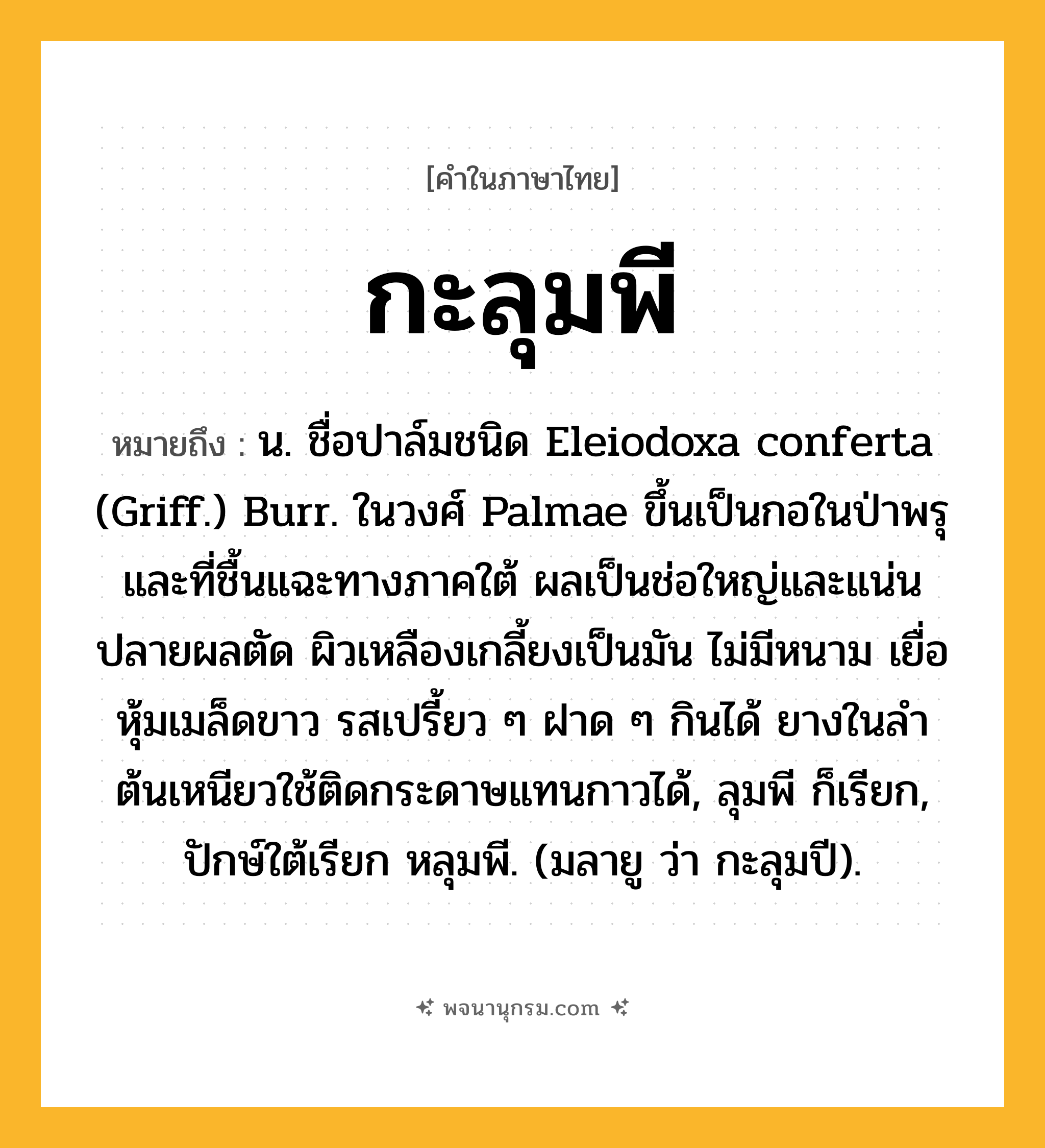 กะลุมพี ความหมาย หมายถึงอะไร?, คำในภาษาไทย กะลุมพี หมายถึง น. ชื่อปาล์มชนิด Eleiodoxa conferta (Griff.) Burr. ในวงศ์ Palmae ขึ้นเป็นกอในป่าพรุและที่ชื้นแฉะทางภาคใต้ ผลเป็นช่อใหญ่และแน่น ปลายผลตัด ผิวเหลืองเกลี้ยงเป็นมัน ไม่มีหนาม เยื่อหุ้มเมล็ดขาว รสเปรี้ยว ๆ ฝาด ๆ กินได้ ยางในลําต้นเหนียวใช้ติดกระดาษแทนกาวได้, ลุมพี ก็เรียก, ปักษ์ใต้เรียก หลุมพี. (มลายู ว่า กะลุมปี).