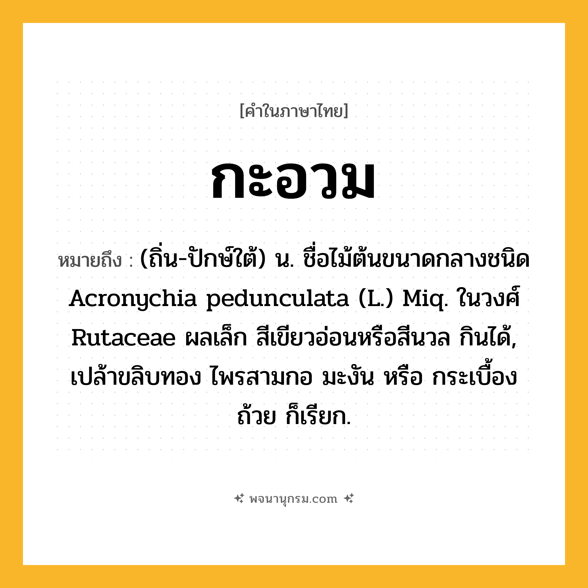 กะอวม ความหมาย หมายถึงอะไร?, คำในภาษาไทย กะอวม หมายถึง (ถิ่น-ปักษ์ใต้) น. ชื่อไม้ต้นขนาดกลางชนิด Acronychia pedunculata (L.) Miq. ในวงศ์ Rutaceae ผลเล็ก สีเขียวอ่อนหรือสีนวล กินได้, เปล้าขลิบทอง ไพรสามกอ มะงัน หรือ กระเบื้องถ้วย ก็เรียก.