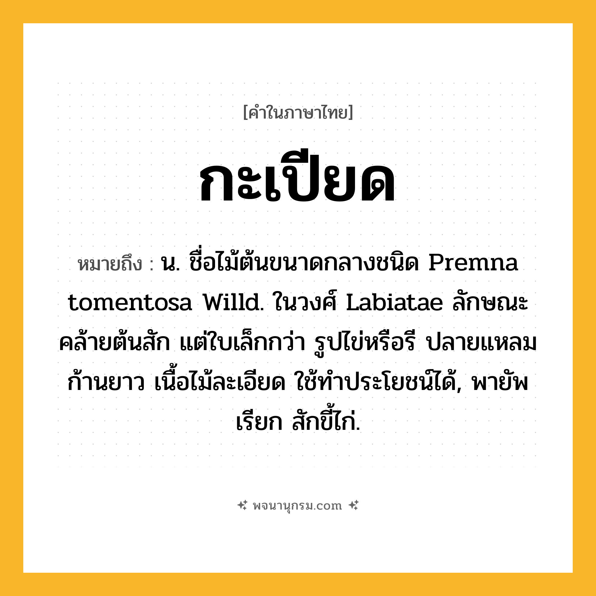 กะเปียด ความหมาย หมายถึงอะไร?, คำในภาษาไทย กะเปียด หมายถึง น. ชื่อไม้ต้นขนาดกลางชนิด Premna tomentosa Willd. ในวงศ์ Labiatae ลักษณะคล้ายต้นสัก แต่ใบเล็กกว่า รูปไข่หรือรี ปลายแหลมก้านยาว เนื้อไม้ละเอียด ใช้ทําประโยชน์ได้, พายัพเรียก สักขี้ไก่.