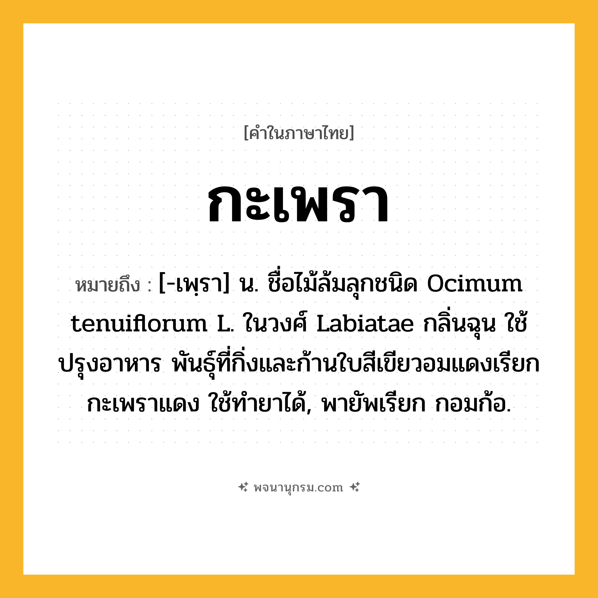 กะเพรา ความหมาย หมายถึงอะไร?, คำในภาษาไทย กะเพรา หมายถึง [-เพฺรา] น. ชื่อไม้ล้มลุกชนิด Ocimum tenuiflorum L. ในวงศ์ Labiatae กลิ่นฉุน ใช้ปรุงอาหาร พันธุ์ที่กิ่งและก้านใบสีเขียวอมแดงเรียก กะเพราแดง ใช้ทํายาได้, พายัพเรียก กอมก้อ.